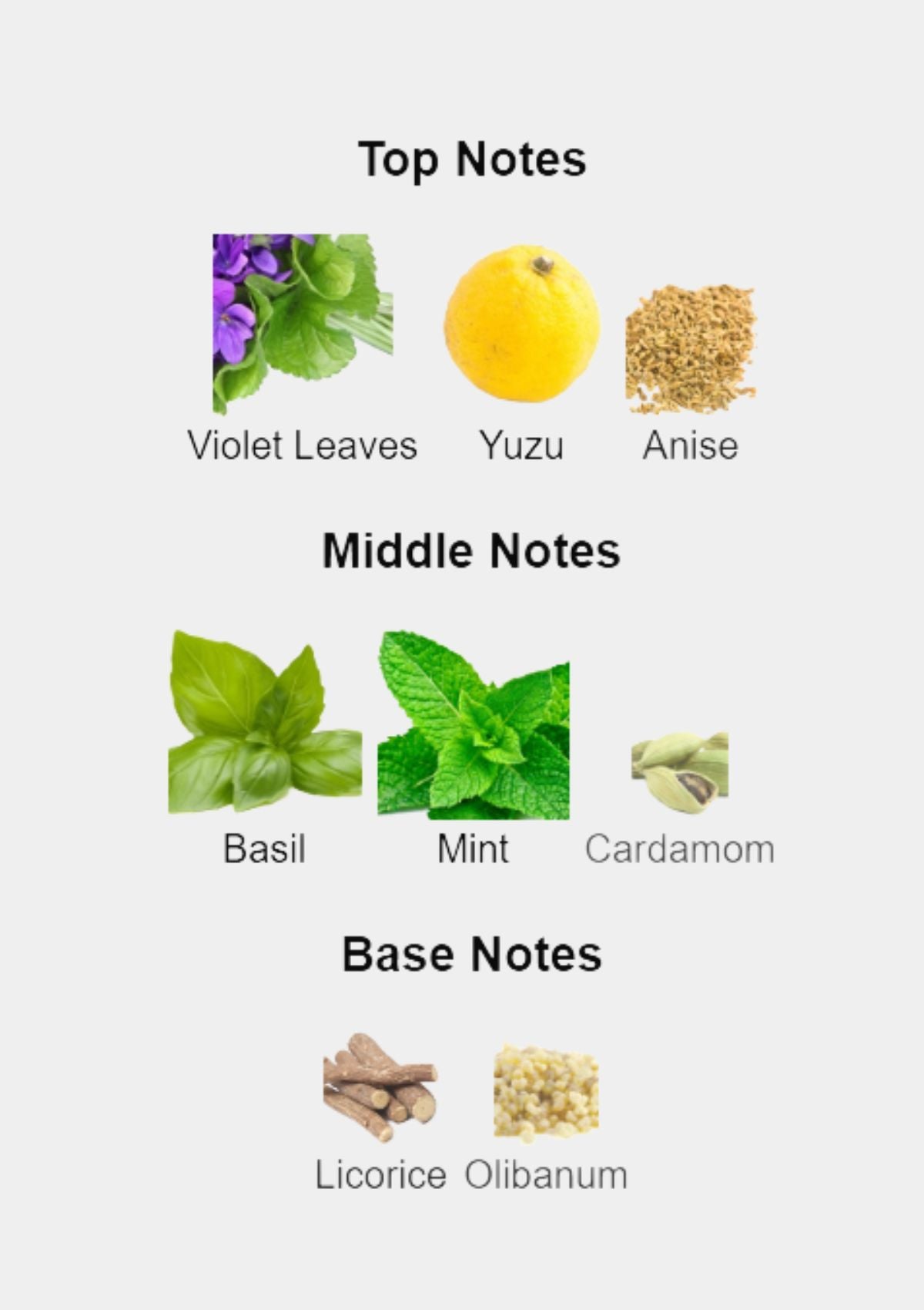 Nishane Ege Ailaio Extrait de Parfum for Unisex 100mL