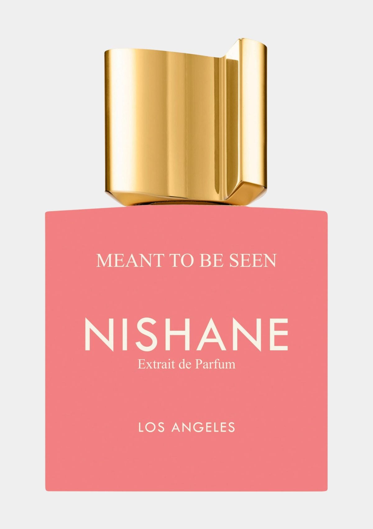 Nishane Meant To Be Seen Extrait de Parfum for Unisex 50mL