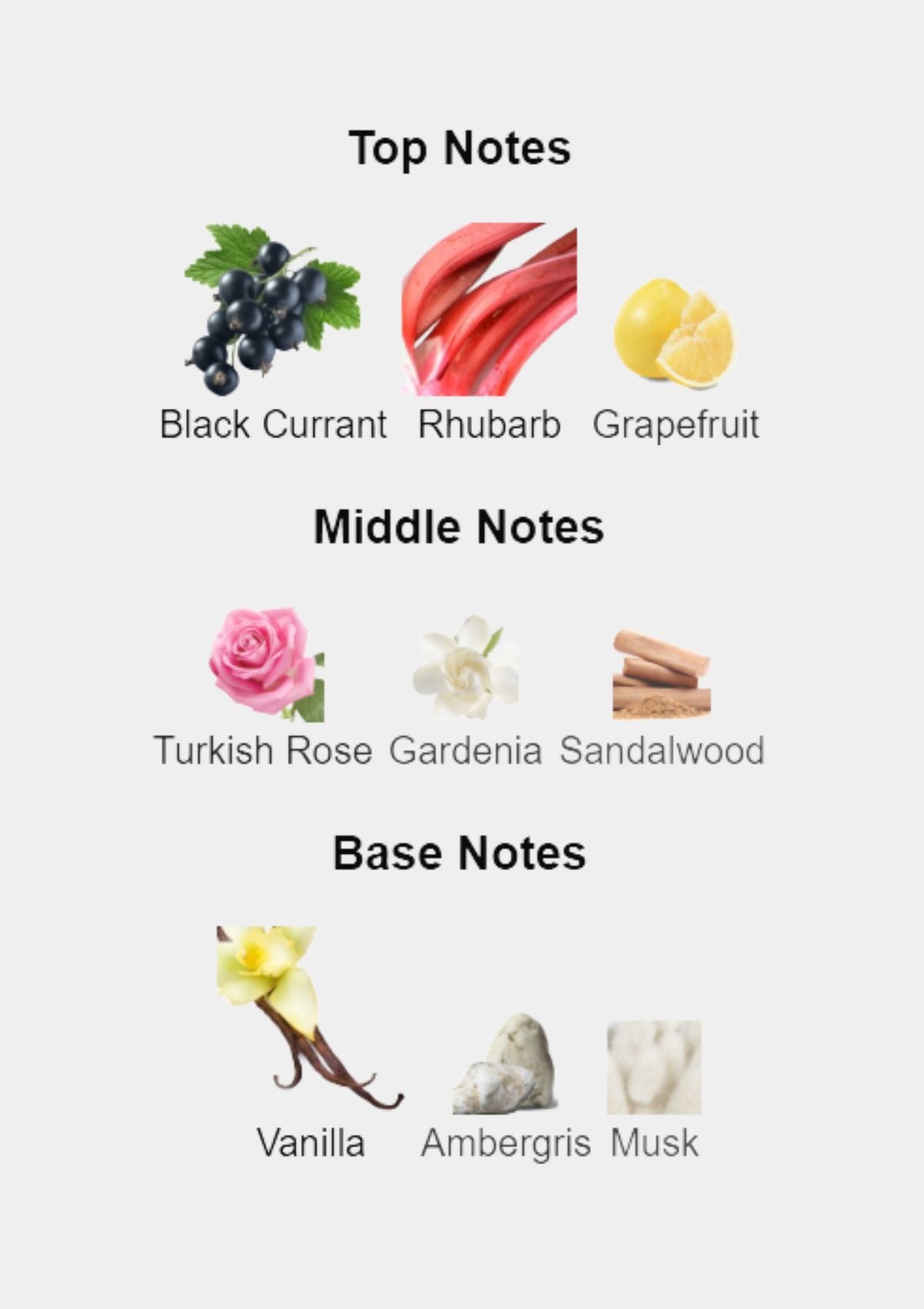 Nishane Zenne Extrait de Parfum for Unisex 50mL