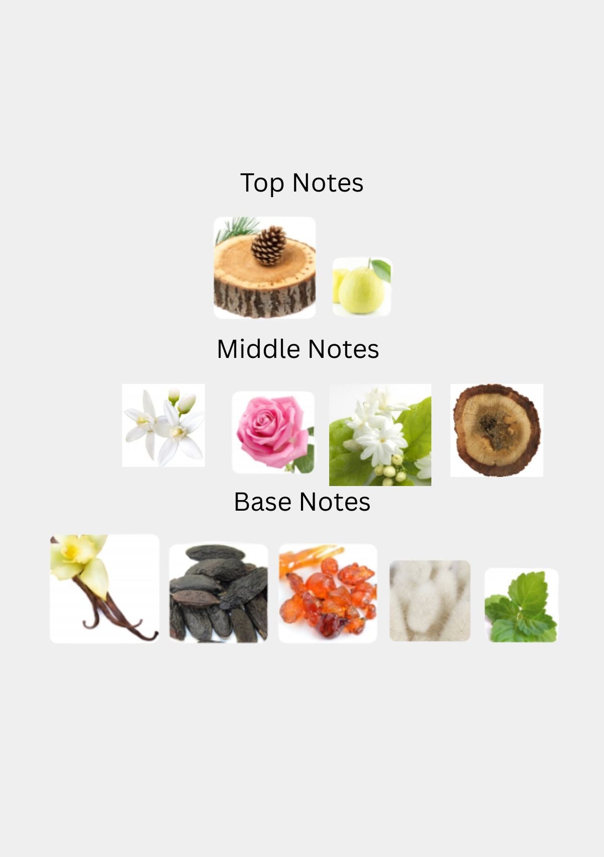 Paradis Des Sens Wonderland for Unisex EDP 100mL