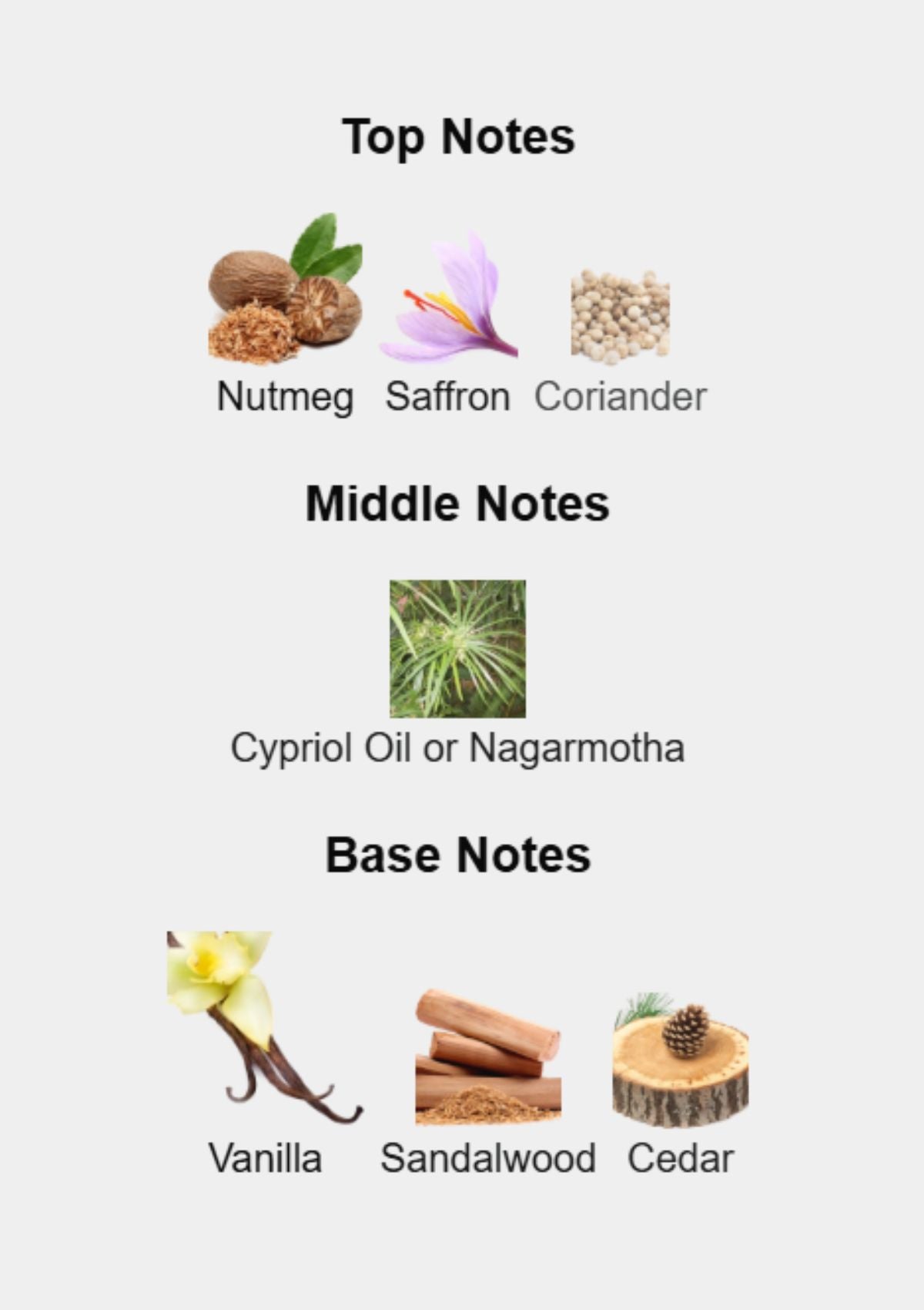 Penhaligon's Babylon for Unisex EDP 100mL