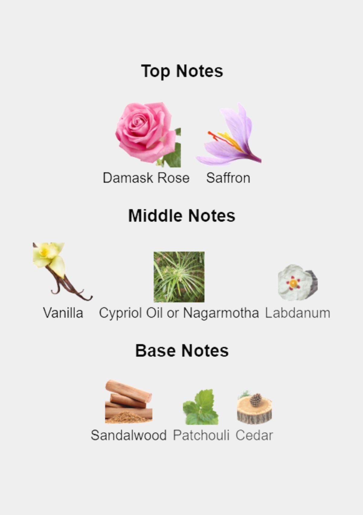 Penhaligon's Cairo for Unisex EDP 100mL