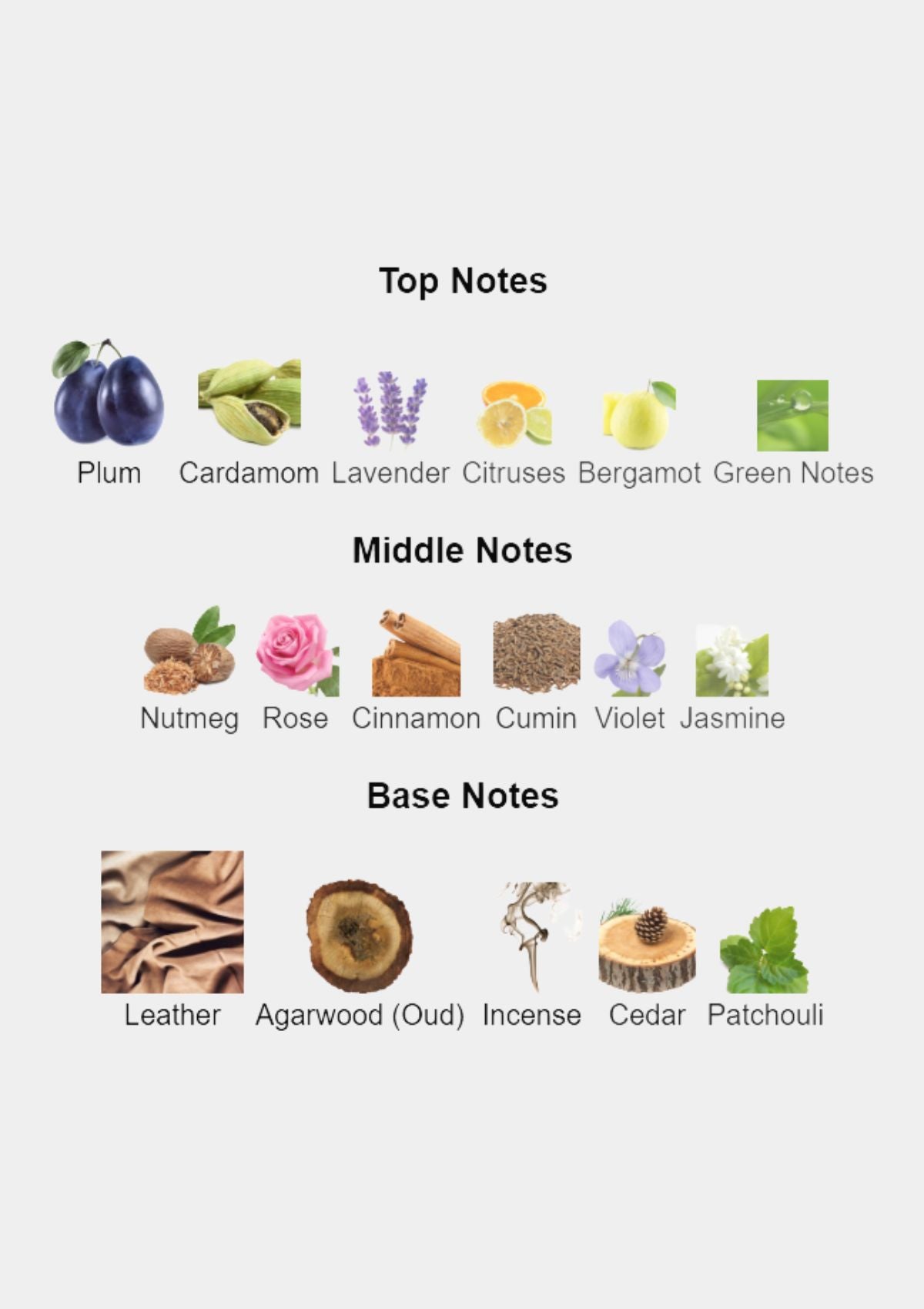 Penhaligon's Halfeti Leather for Unisex EDP 100mL