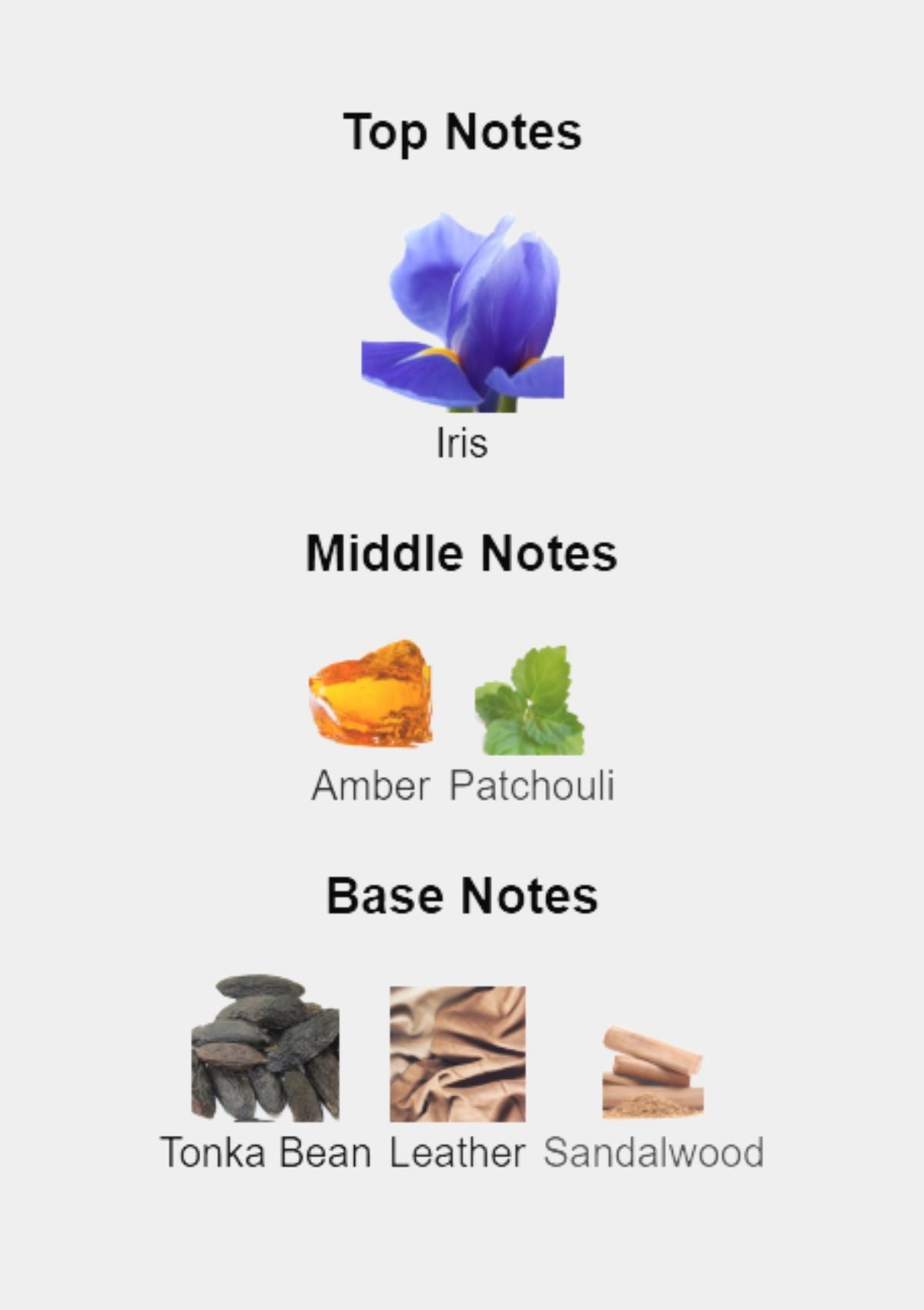 Prada L'Homme Intense for Men EDP 100mL