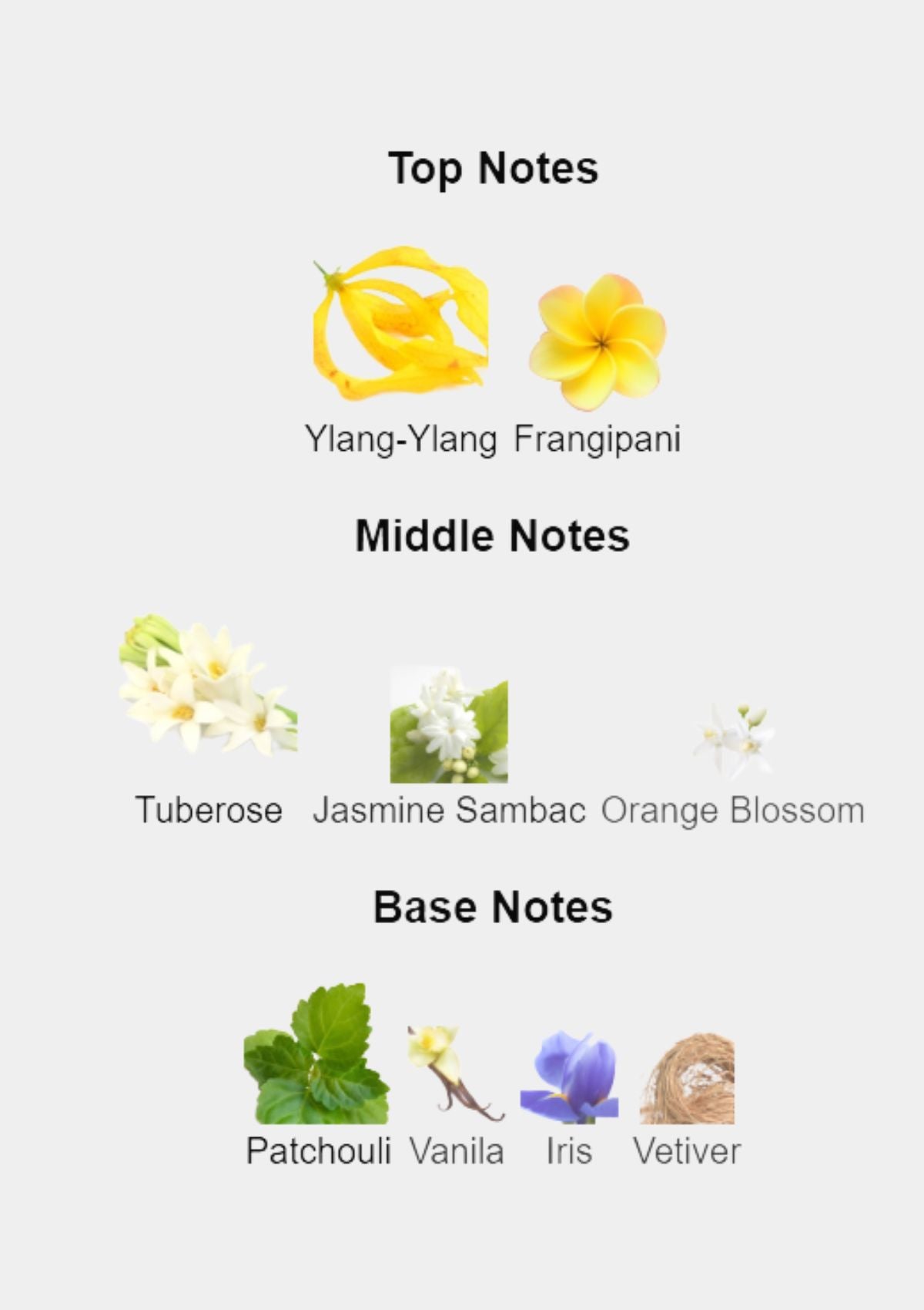 Prada La Femme Intense for Women EDP 100mL