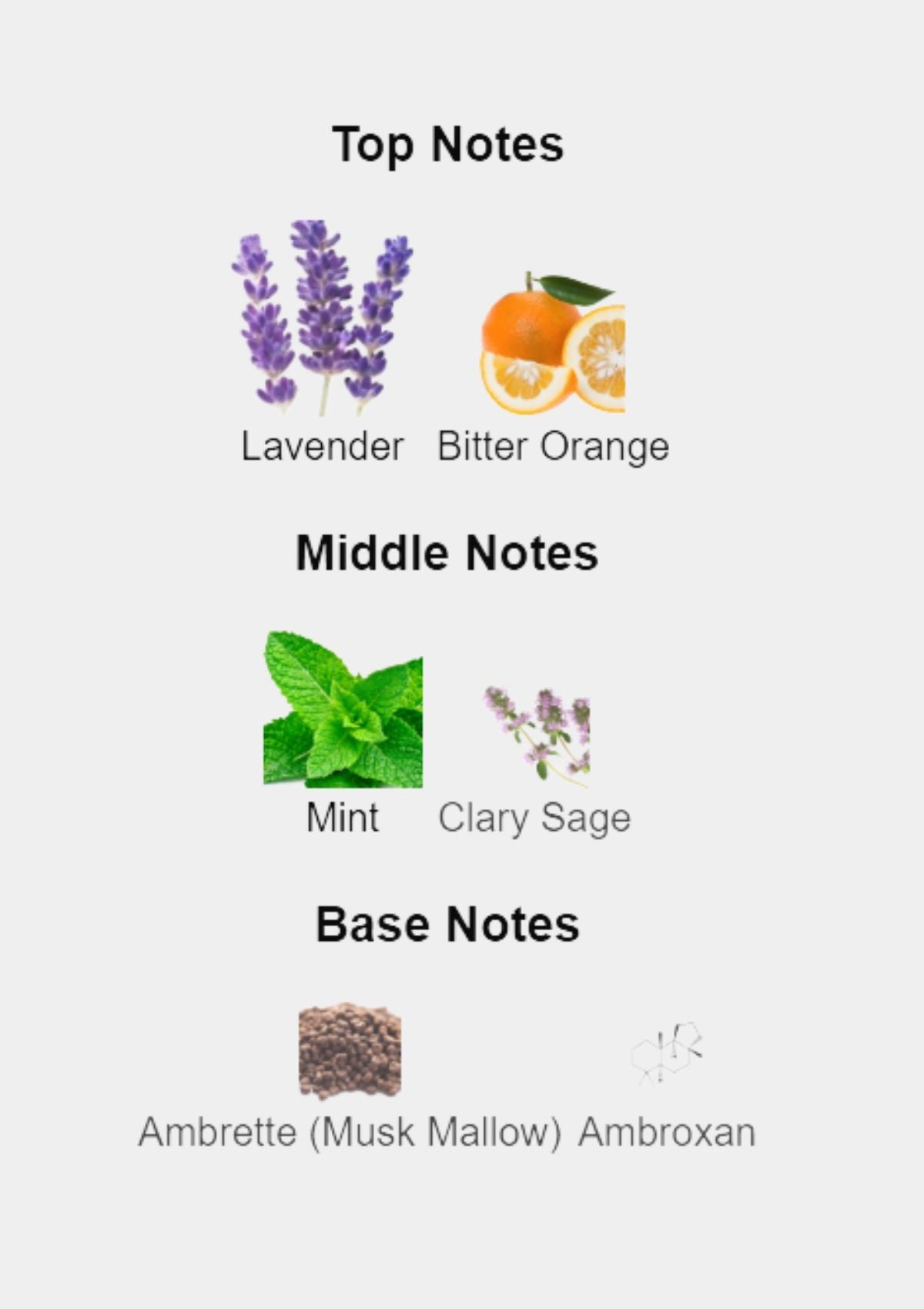 Prada Luna Rossa for Men EDT 150mL