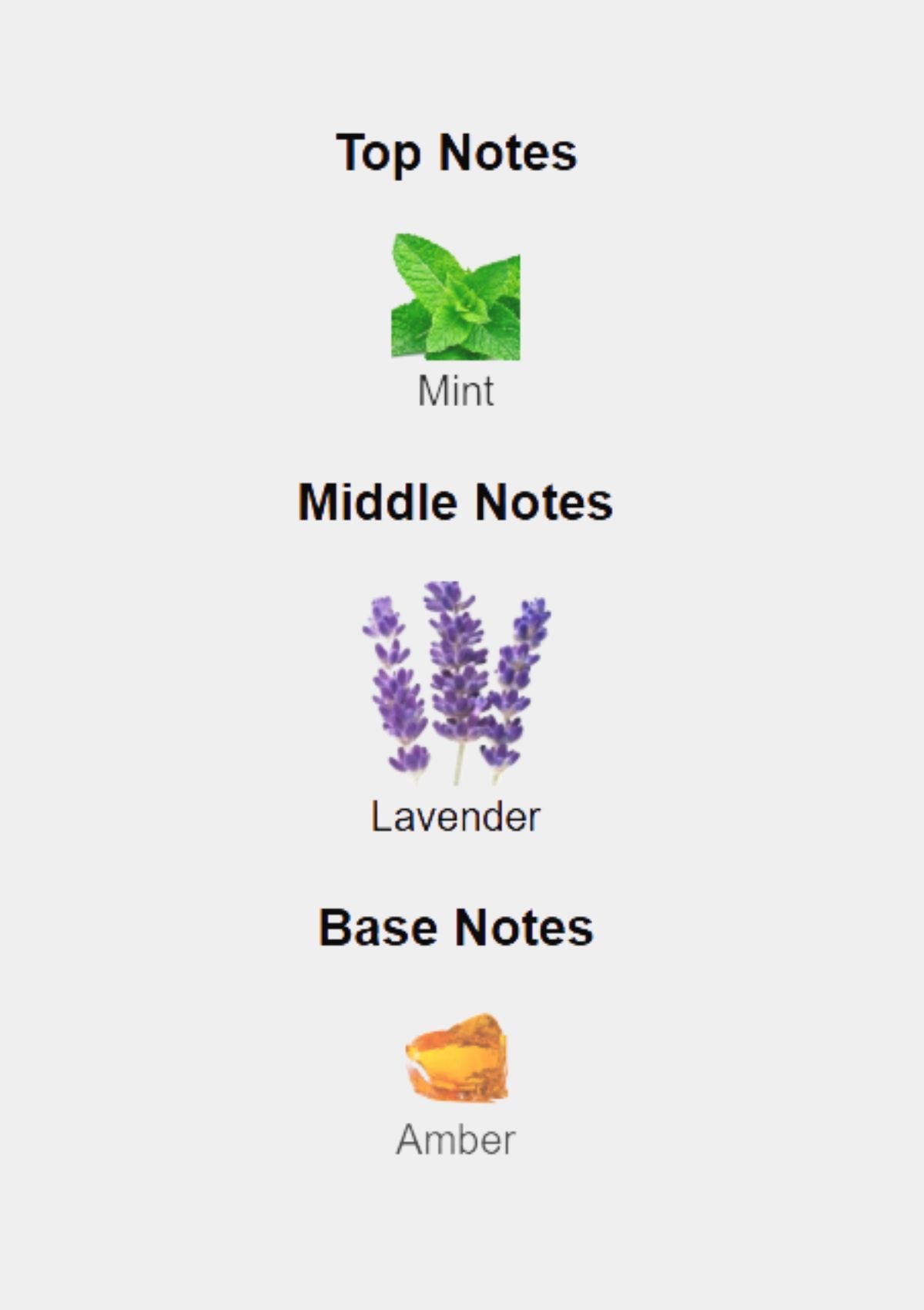 Prada Luna Rossa for Men EDT 100mL