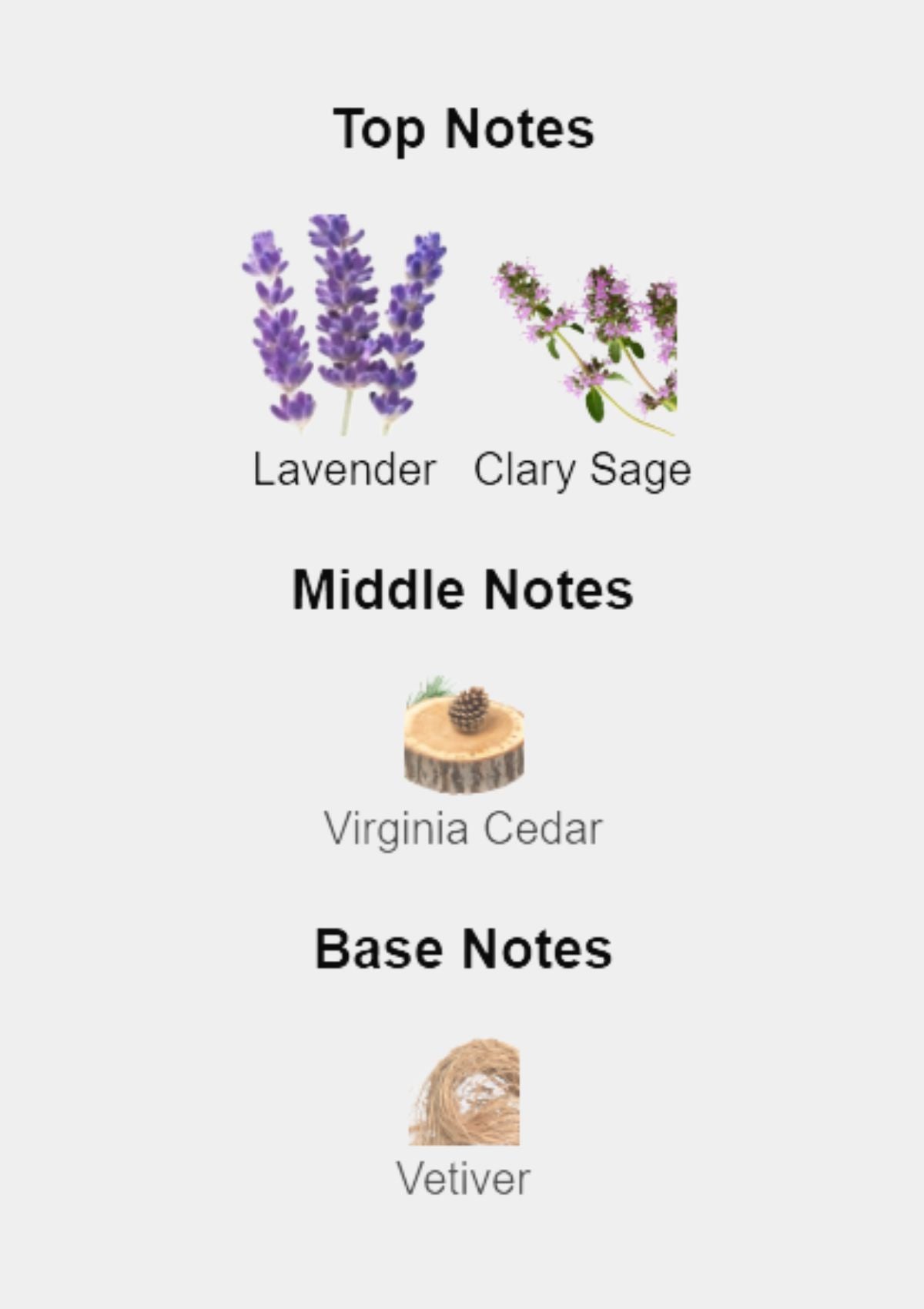 Ralph Lauren Ralph's Club for Men EDP 100mL