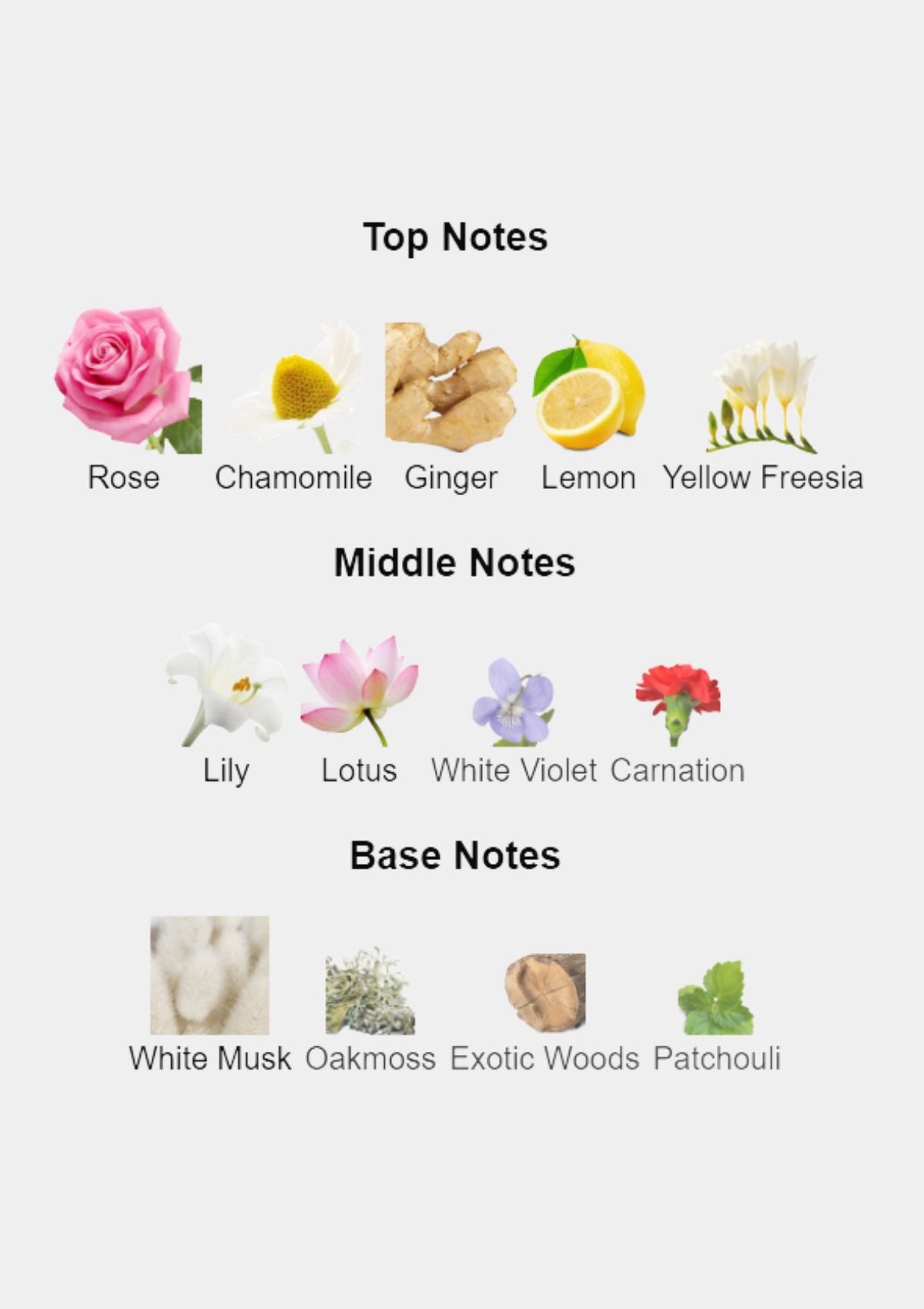 Ralph Lauren Romance for Women EDP 100mL