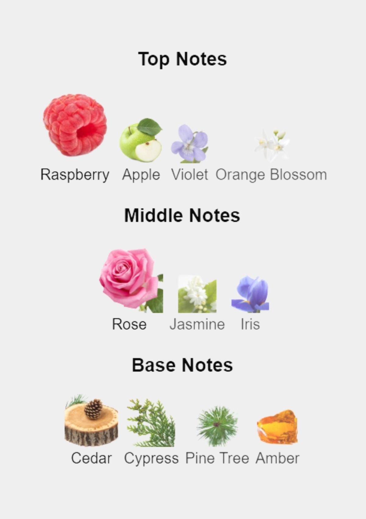 Ramon Monegal Flamenco for Unisex EDP 100mL