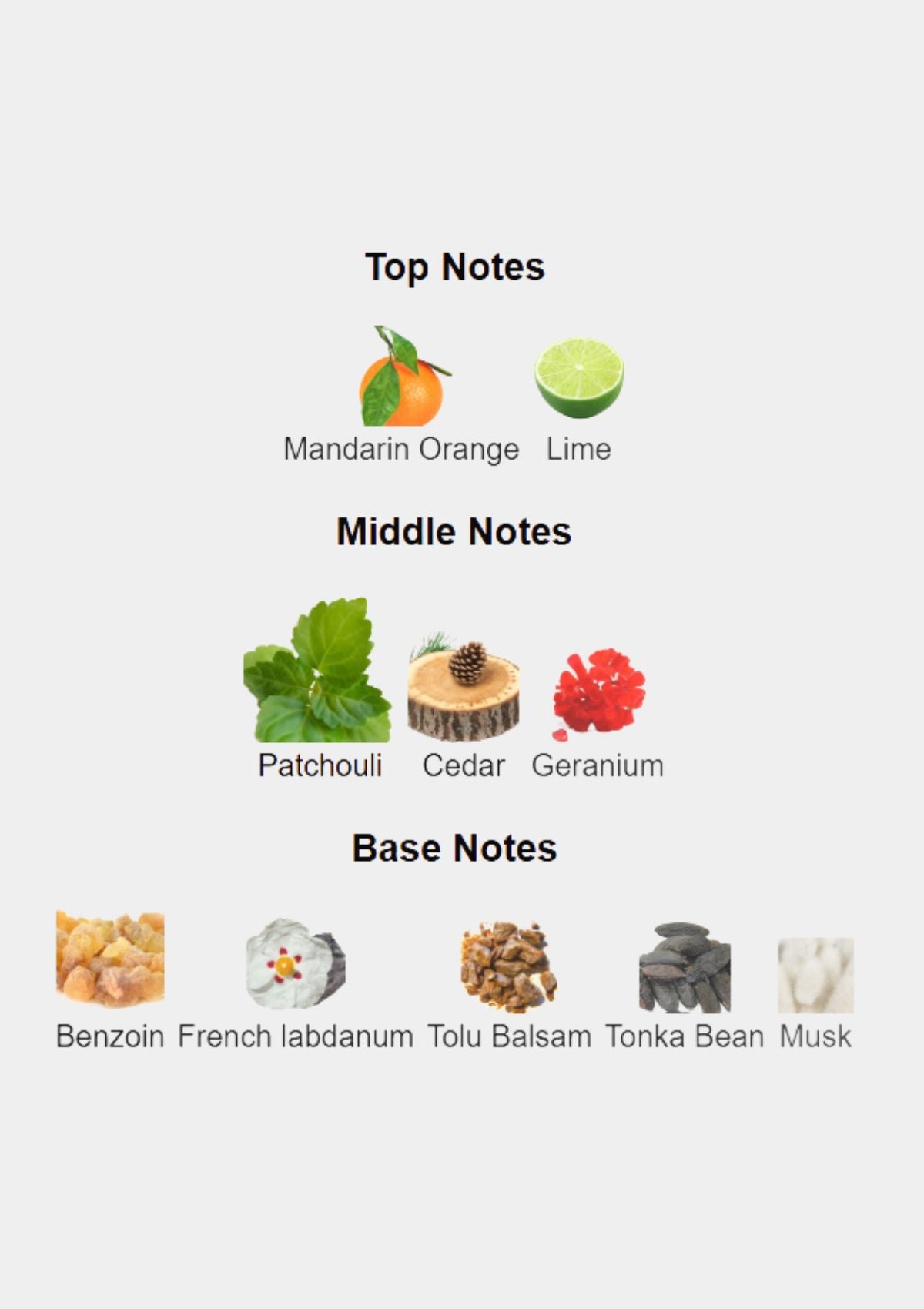 Reminiscence Patchouli Homme for Men EDT 100mL