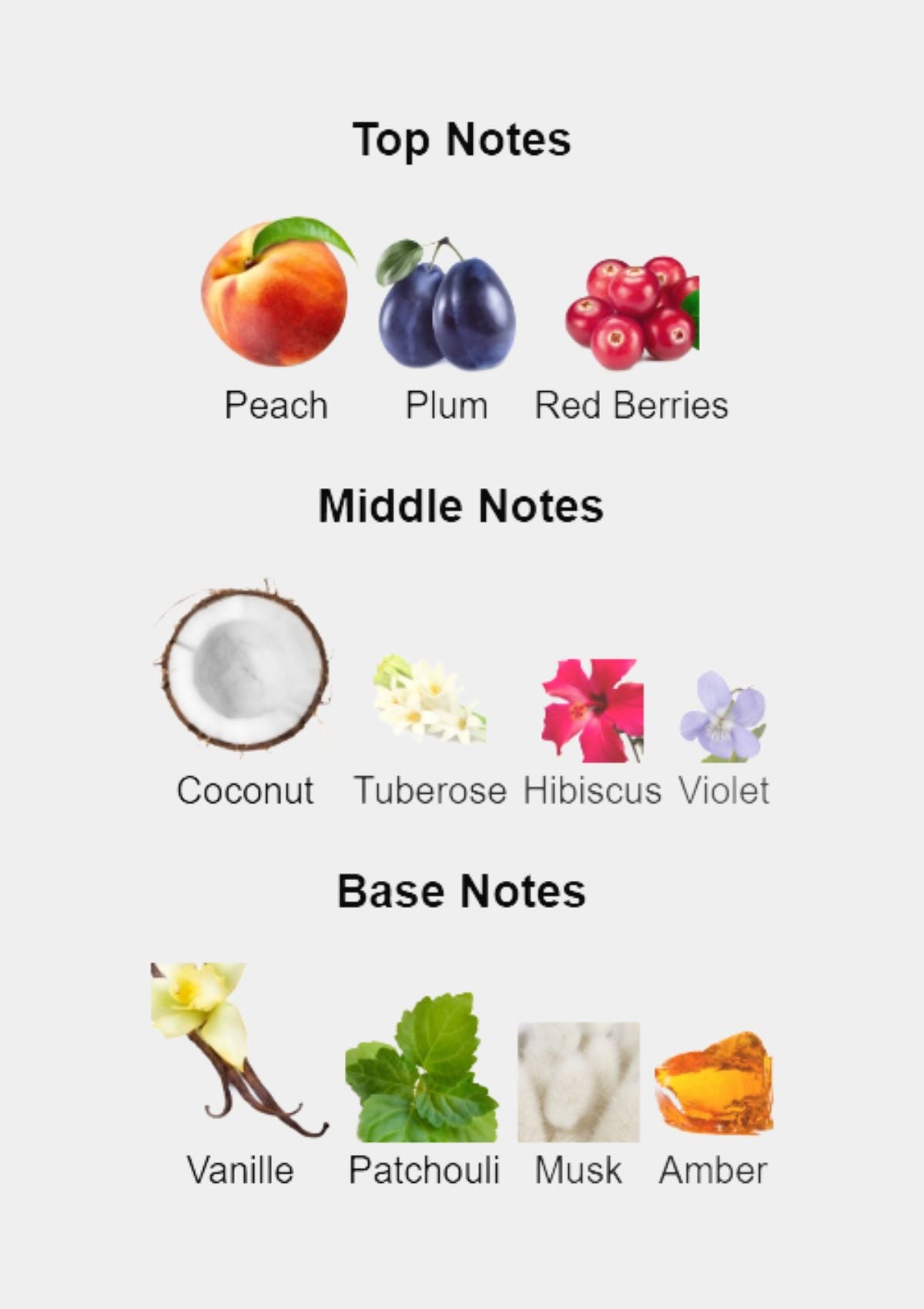 Rihanna Rebl Fleur for Women EDP 100mL