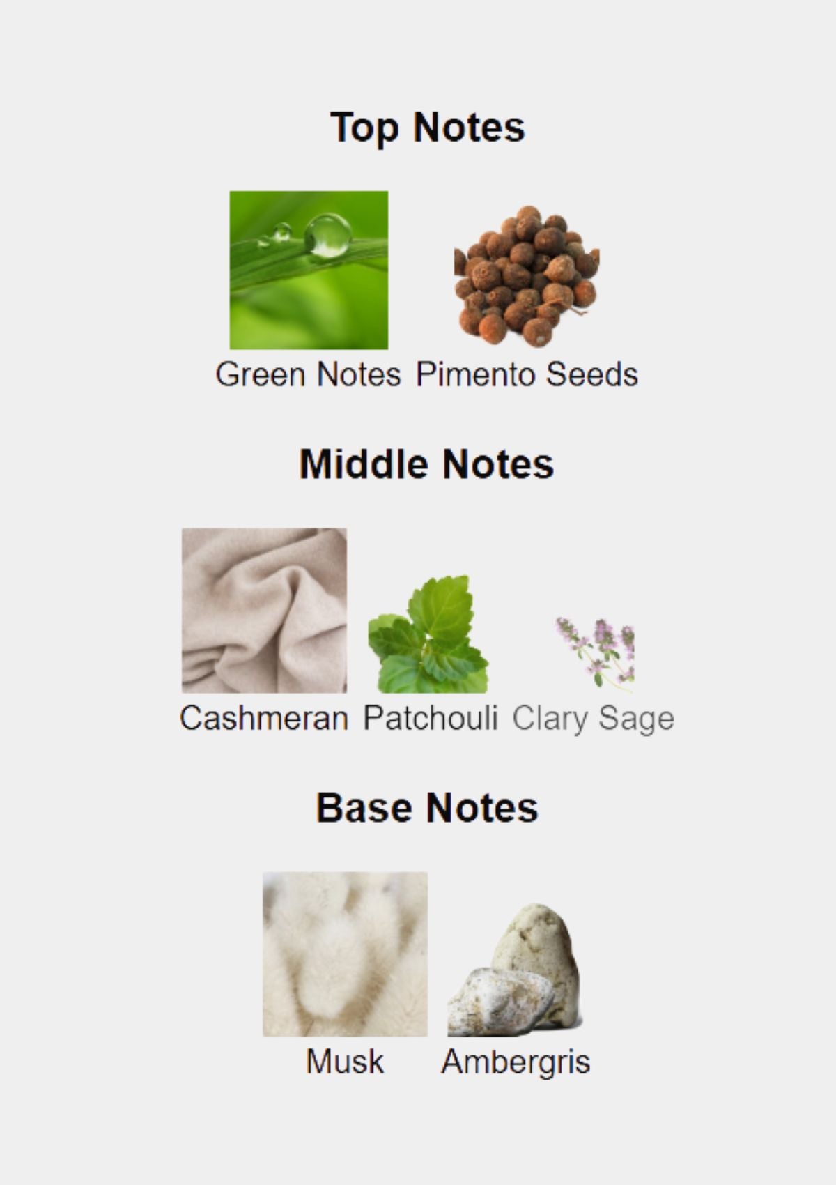 Roberto Cavalli Paradise Found for Men EDT 75mL