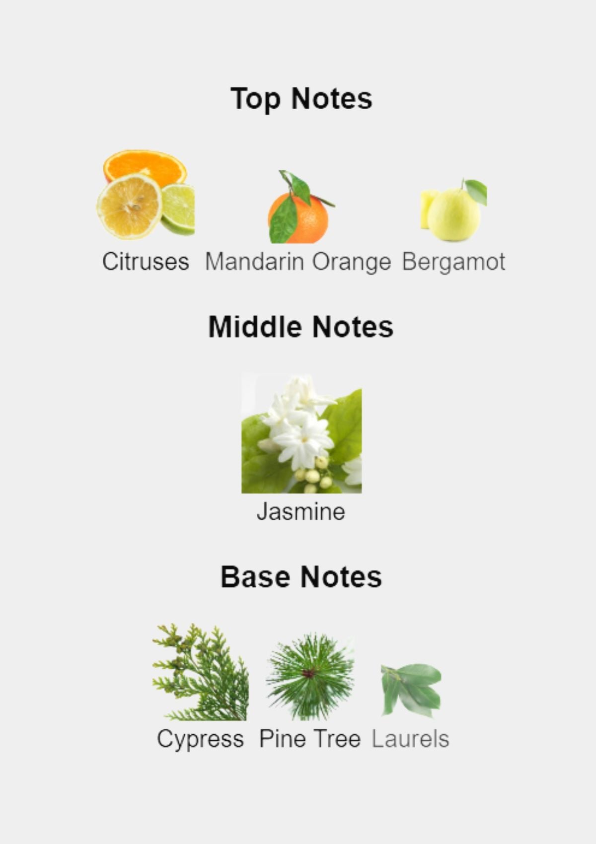 Roberto Cavalli Paradiso for Women EDP 100mL