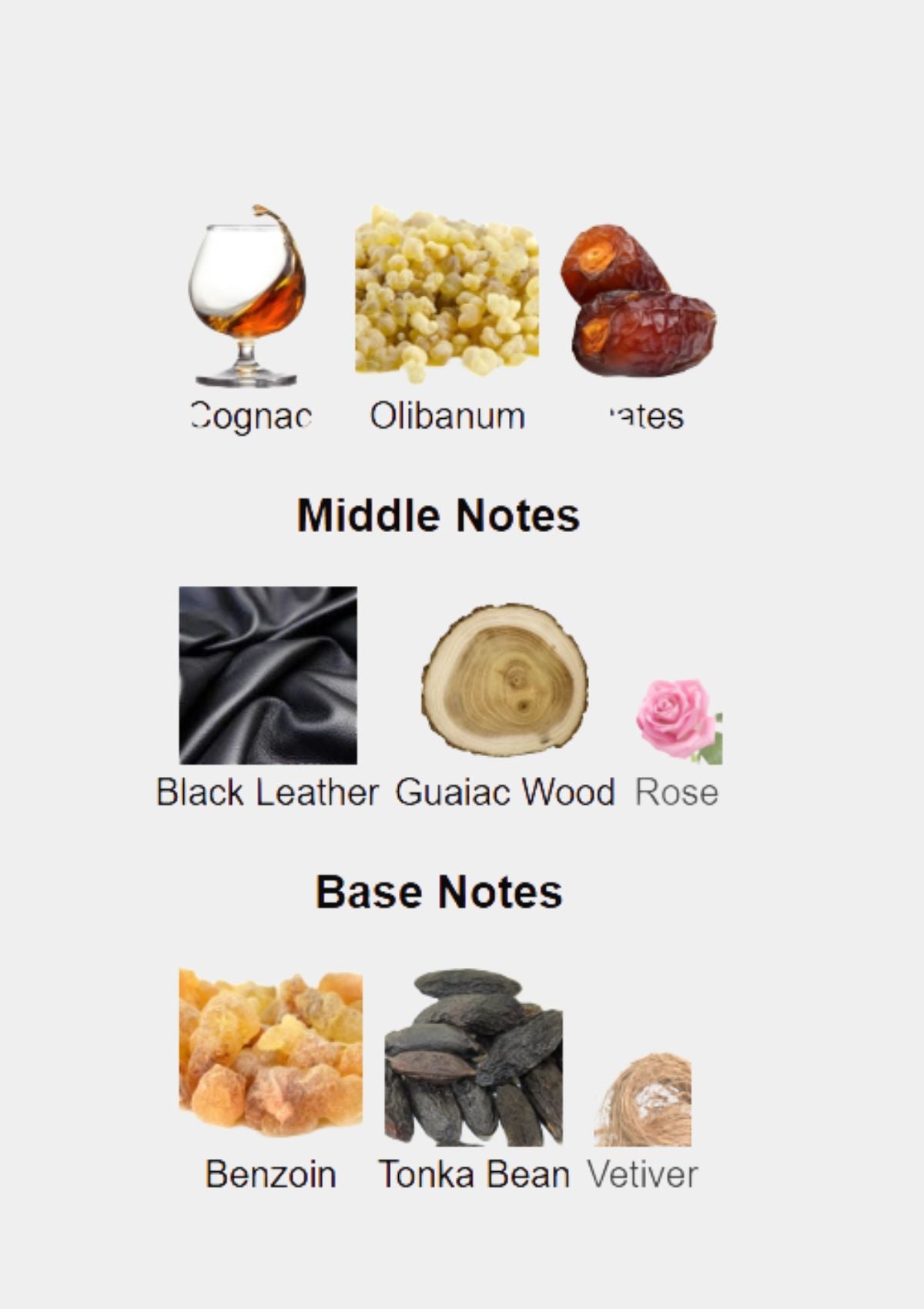 Roberto Cavalli Wild Incense Parfum for Unisex 100mL