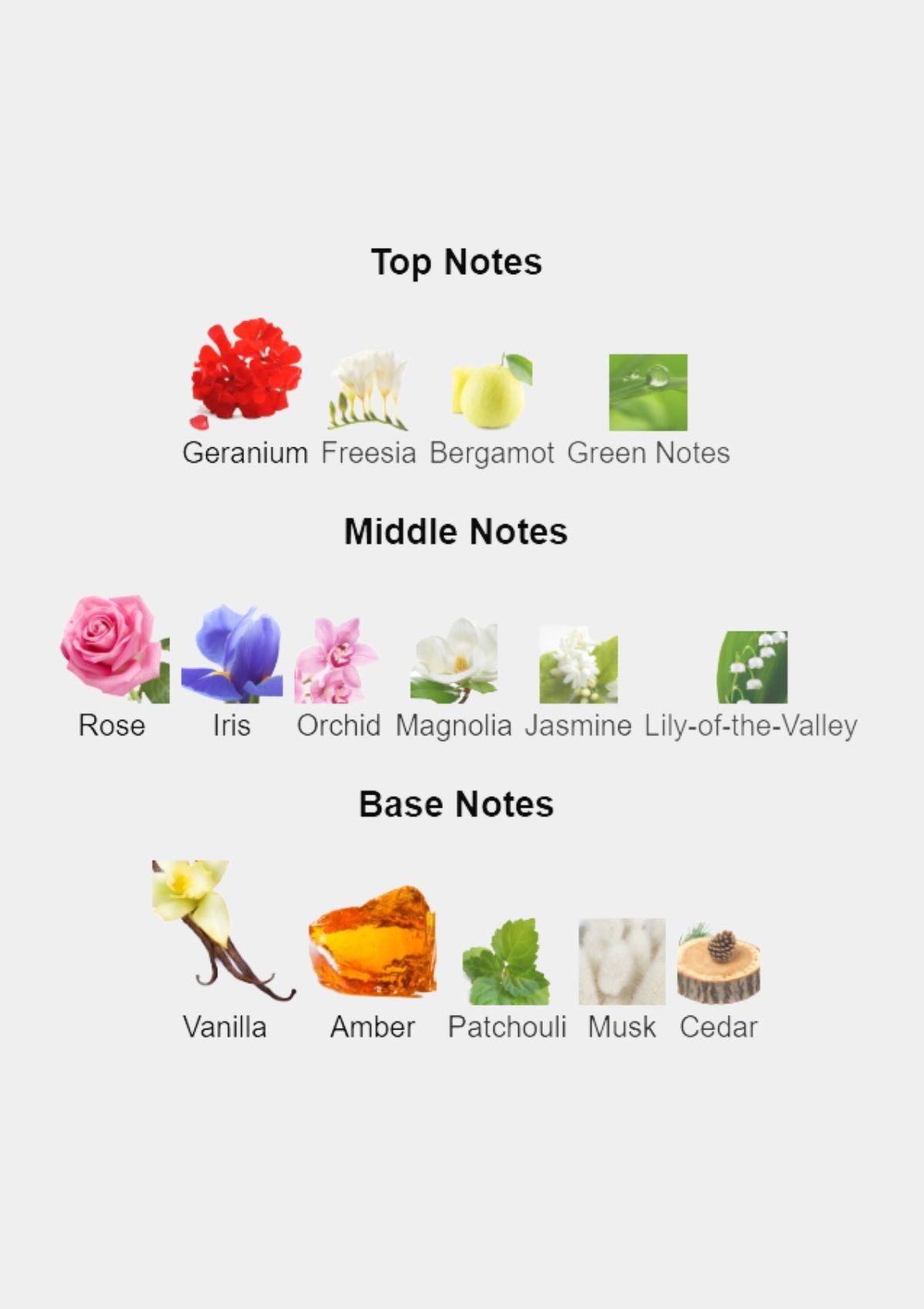 Rochas Tocade for Women EDT 100mL