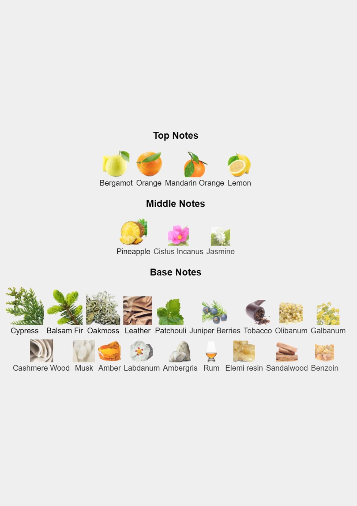 Roja Apex for Men EDP 100mL