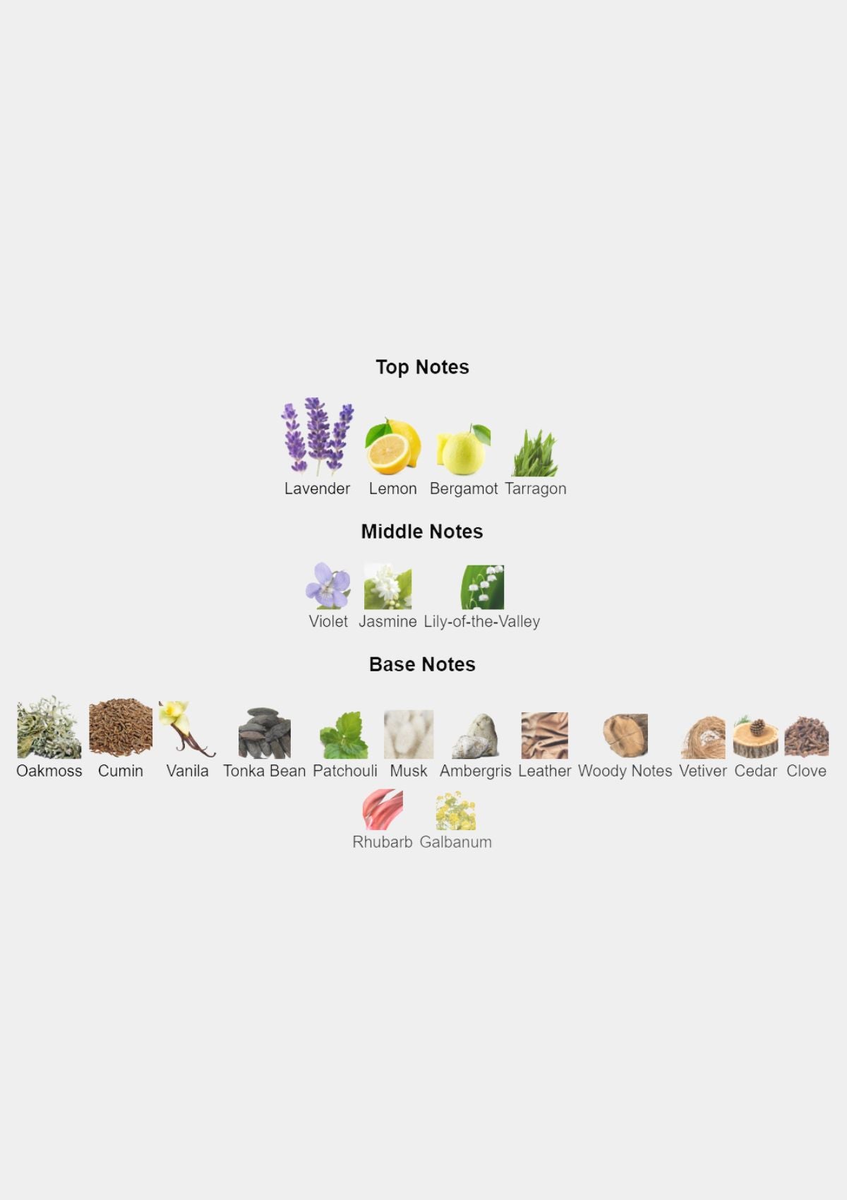 Roja Parfums Danger Parfum Cologne for Men EDP 100mL