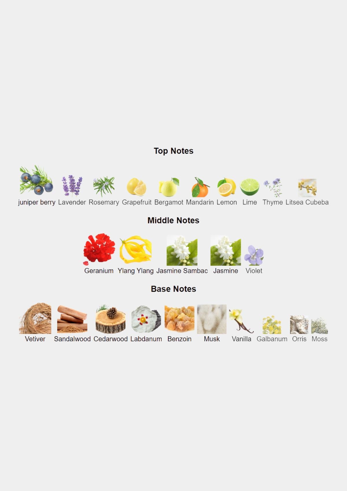 Roja Parfums Oceania for Unisex EDP 100mL