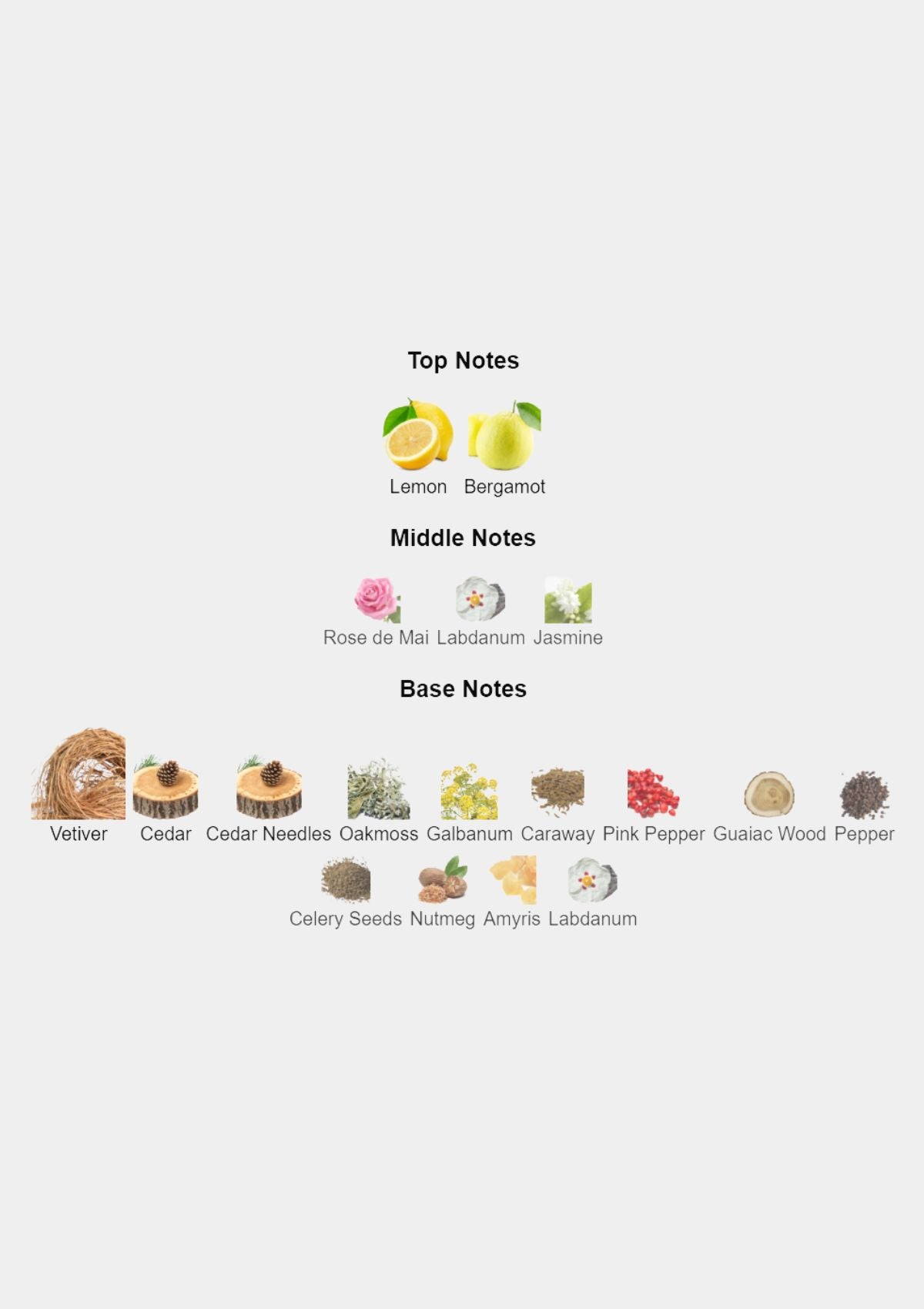 Roja Parfums Vetiver Parfum Cologne for Men EDP 100mL