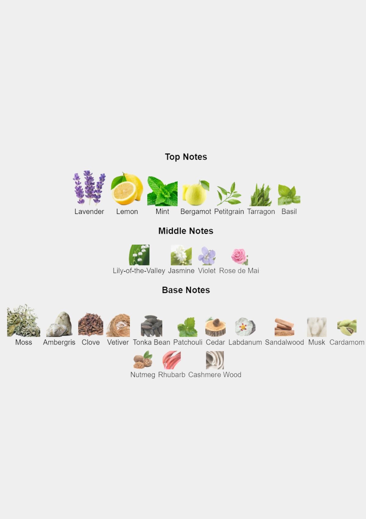 Roja Parfums Scandal Parfum Cologne for Men EDP 100mL