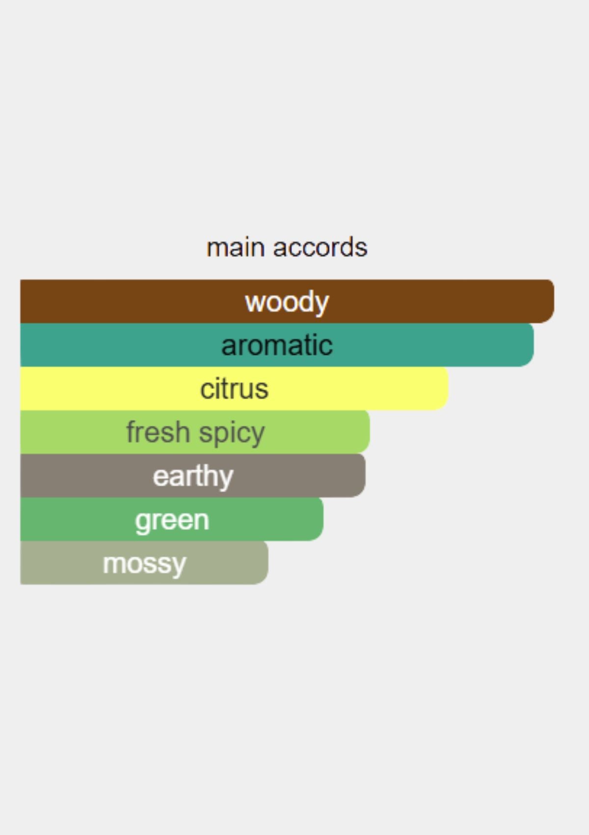 Roja Parfums Vetiver Parfum Cologne for Men EDP 100mL