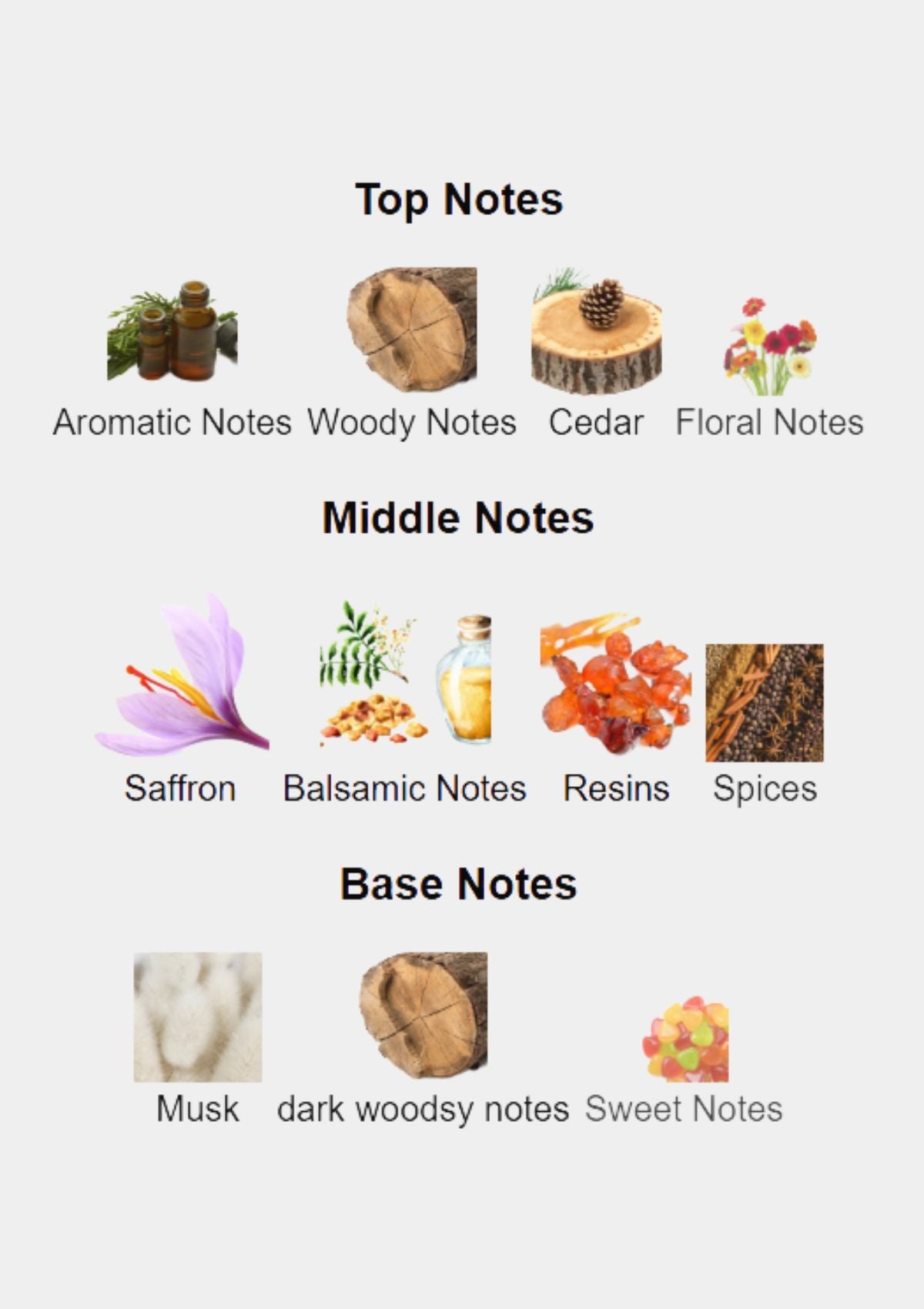 Rosendo Mateu 2010 for Unisex EDP 100mL