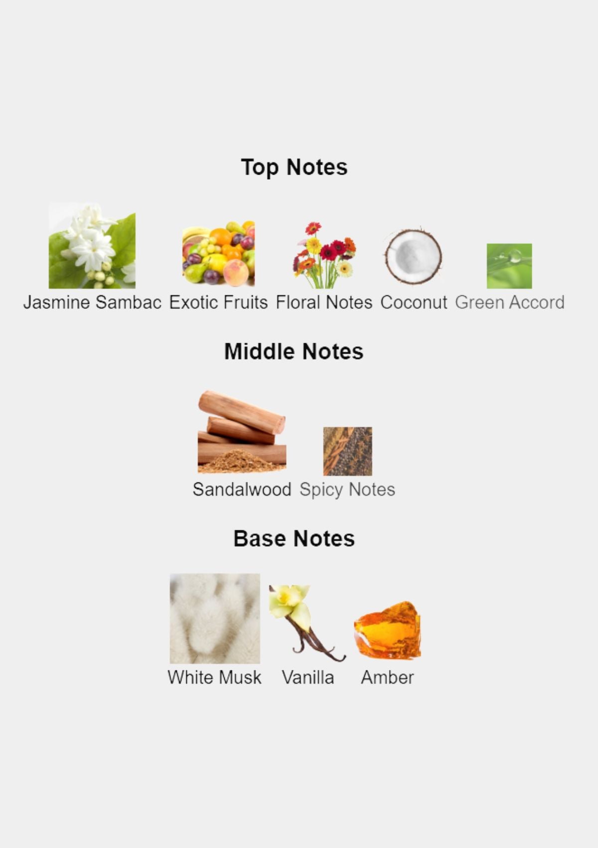 Rosendo Mateu No 6 Jasmin, Sandalwood, Oriental Musk for Unisex EDP 100mL