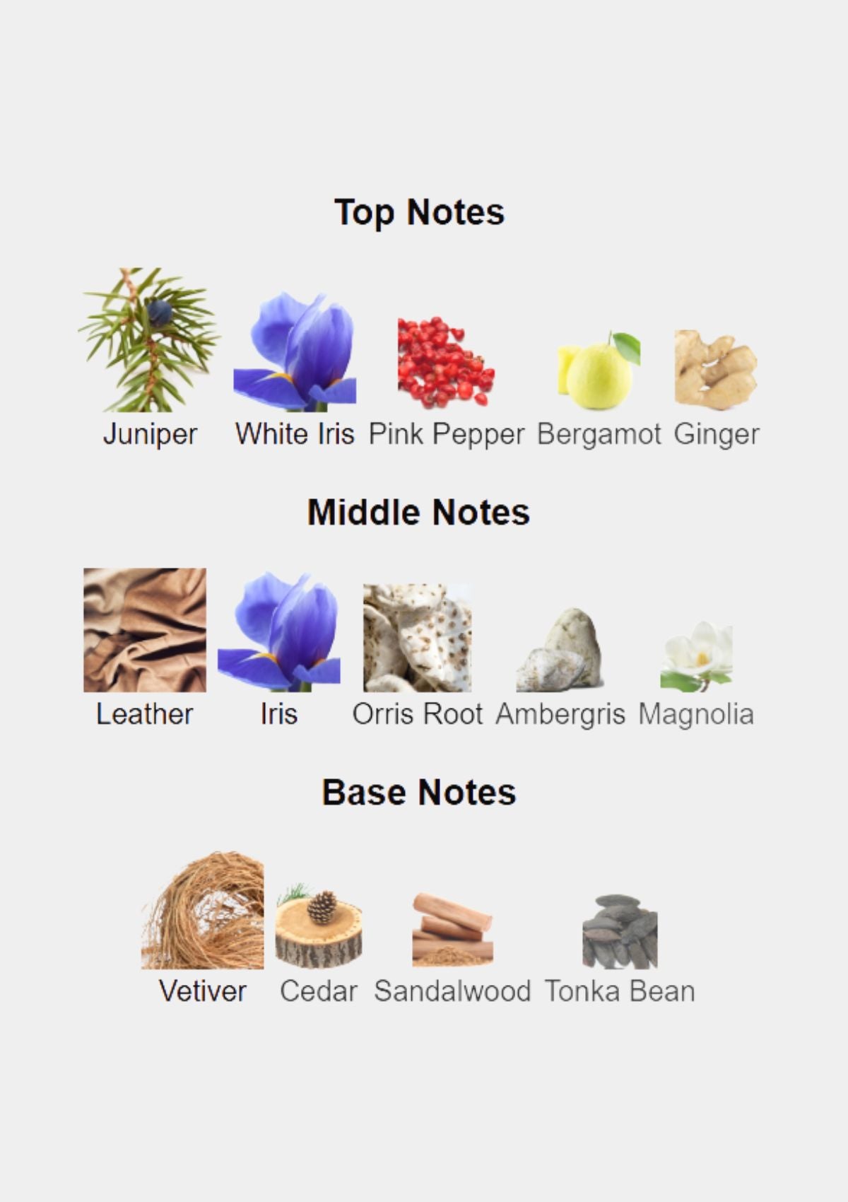 Tiziana Terenzi Kaff Extrait De Parfum for Unisex 100mL