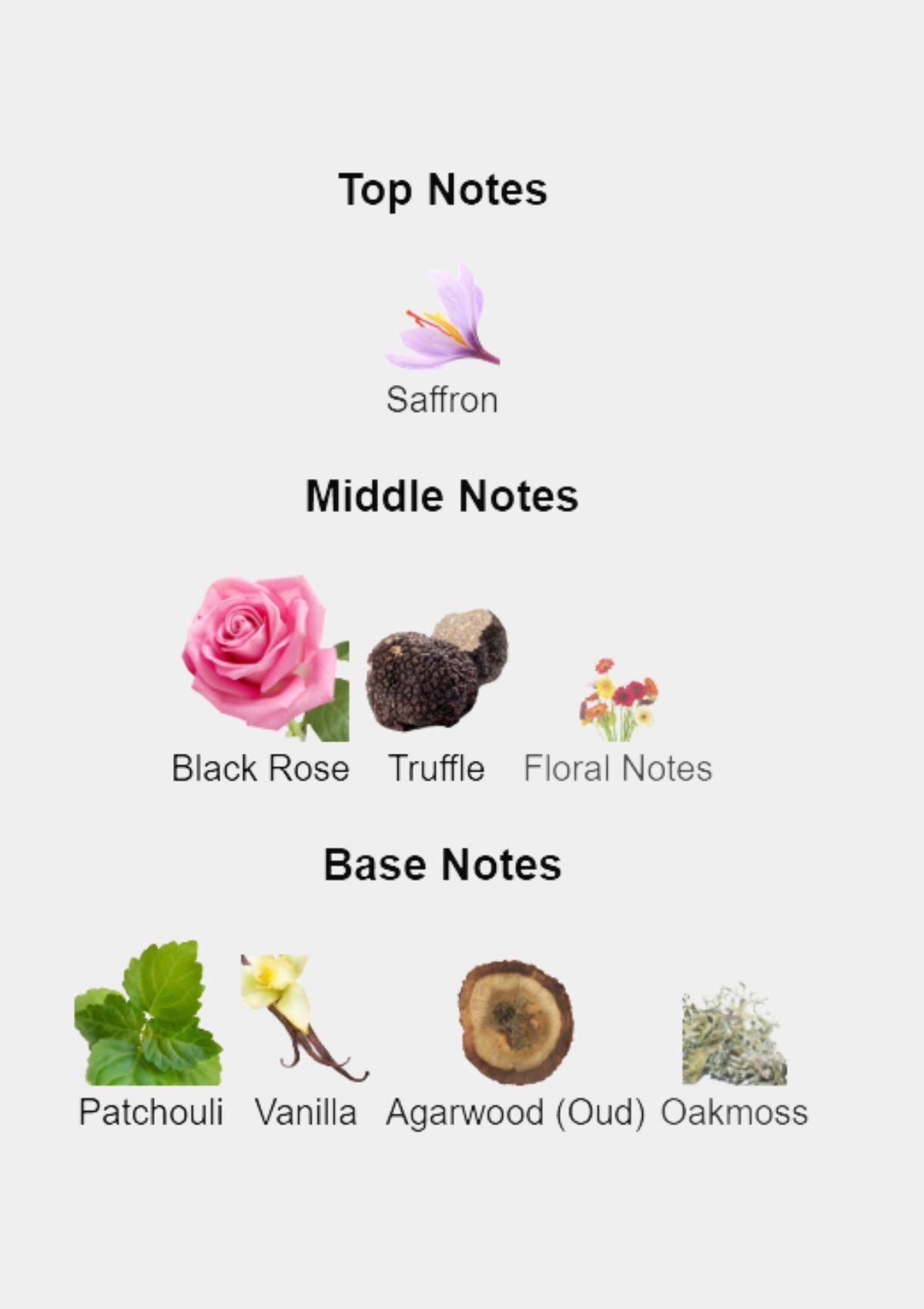 Tom Ford Private Blend Noir De Noir for Men EDP 50mL