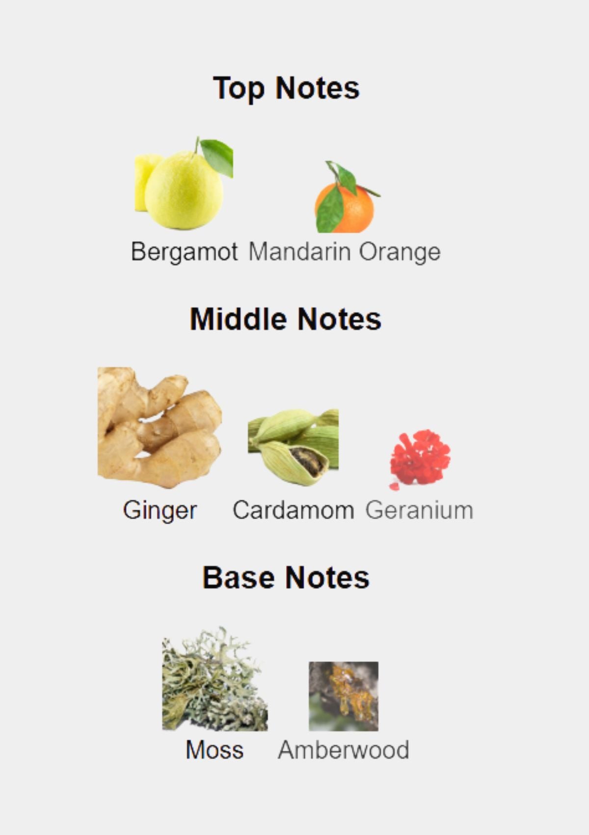 Tommy Hilfiger Tommy Now for Men EDT 100mL