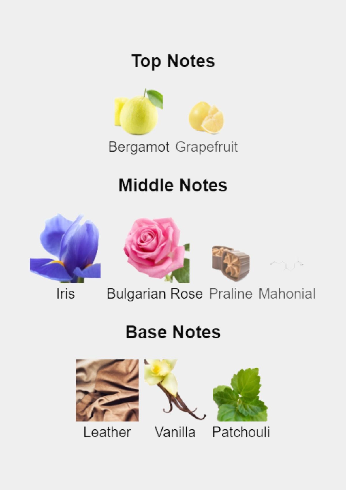 Valentino Donna for Women EDP 100mL