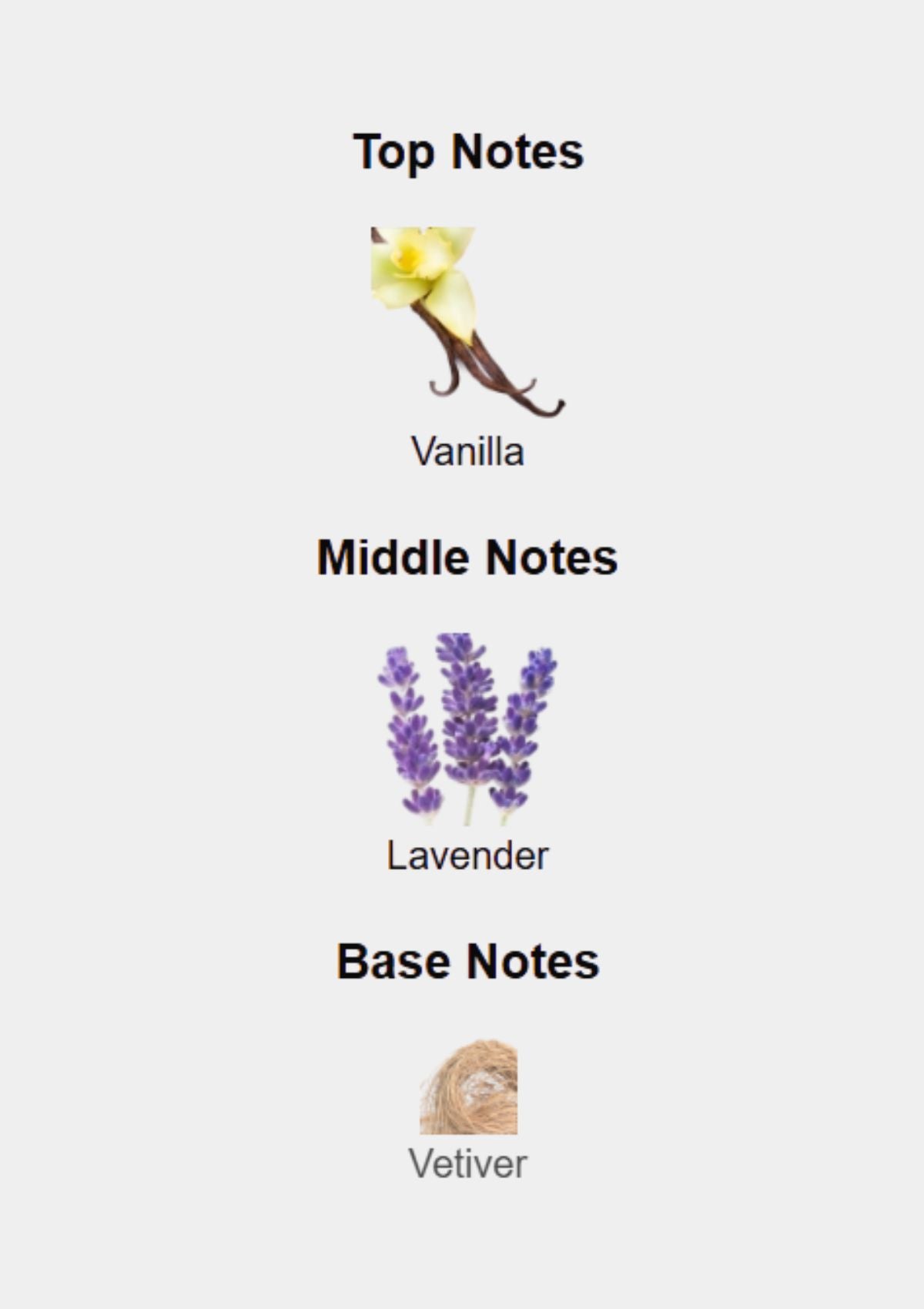 Valentino Uomo Born In Roma for Men EDT 100mL