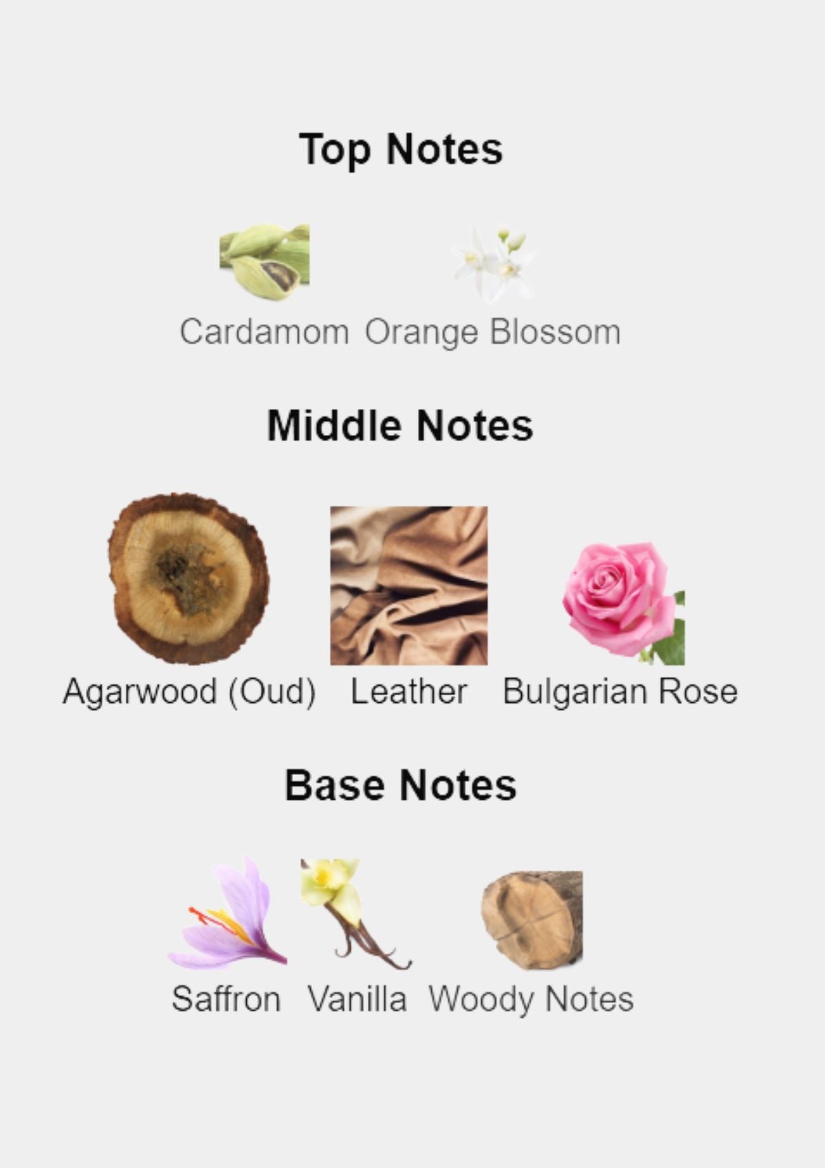 Valentino Valentina Oud Assoluto for Women EDP 80mL