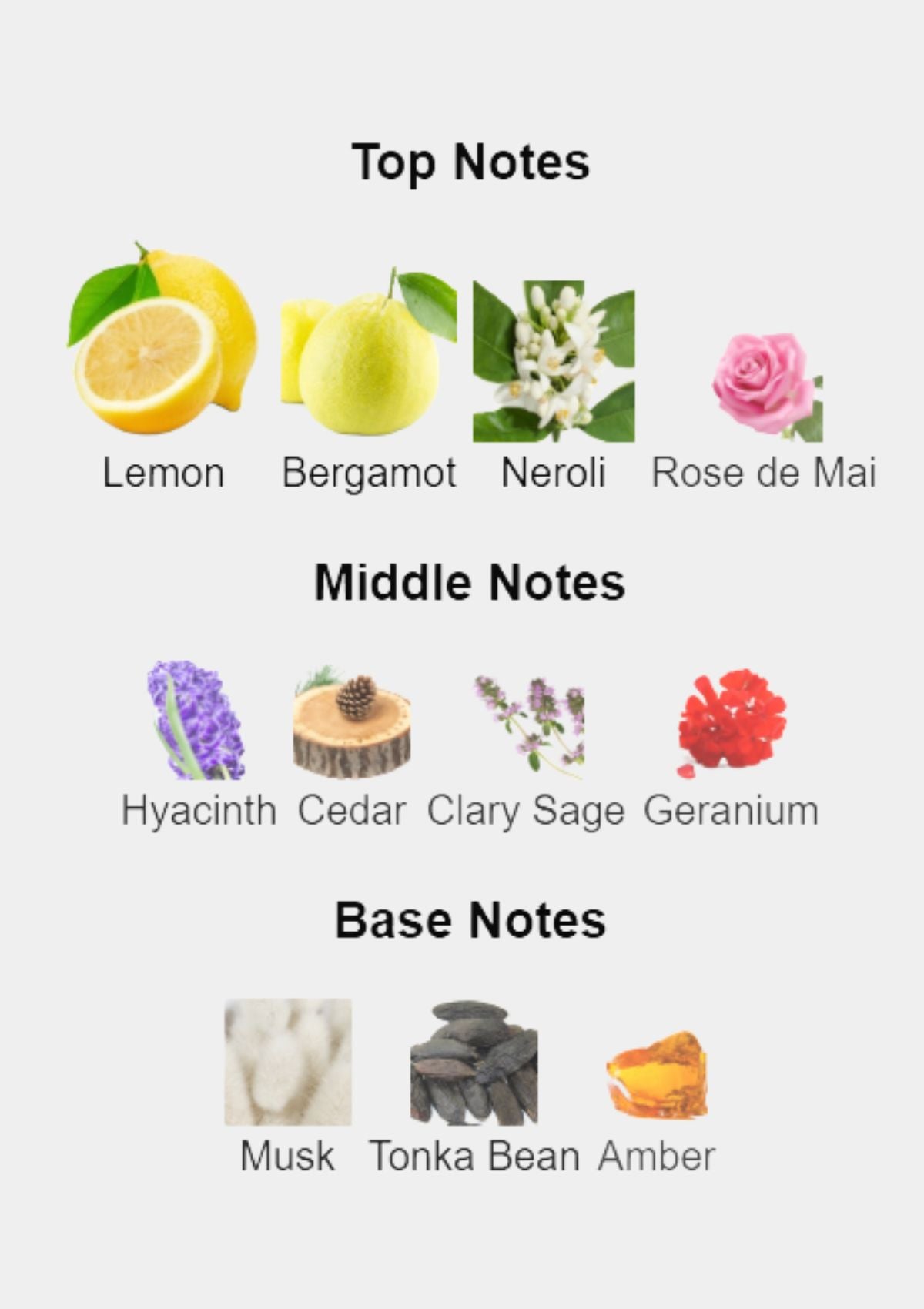 Versace Pour Homme for Men EDT 100mL