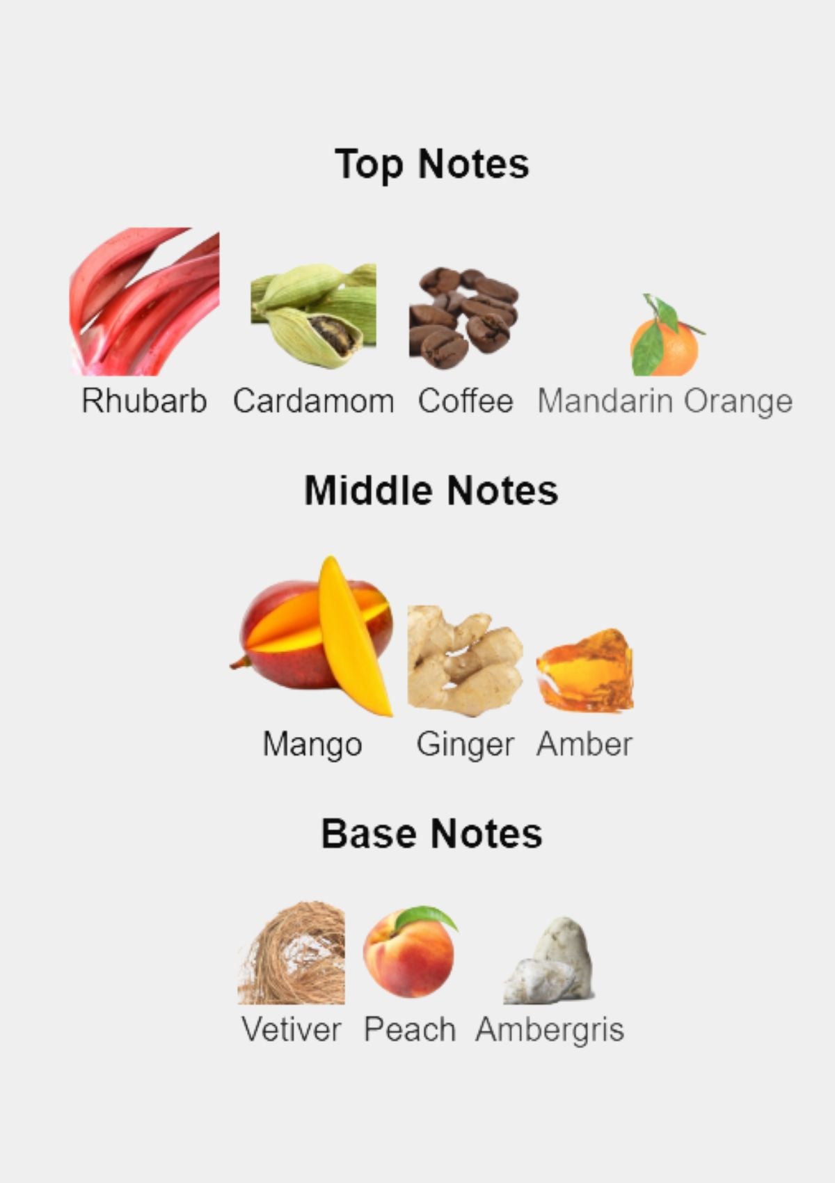 Vertus Narcos'is for Unisex EDP 100mL