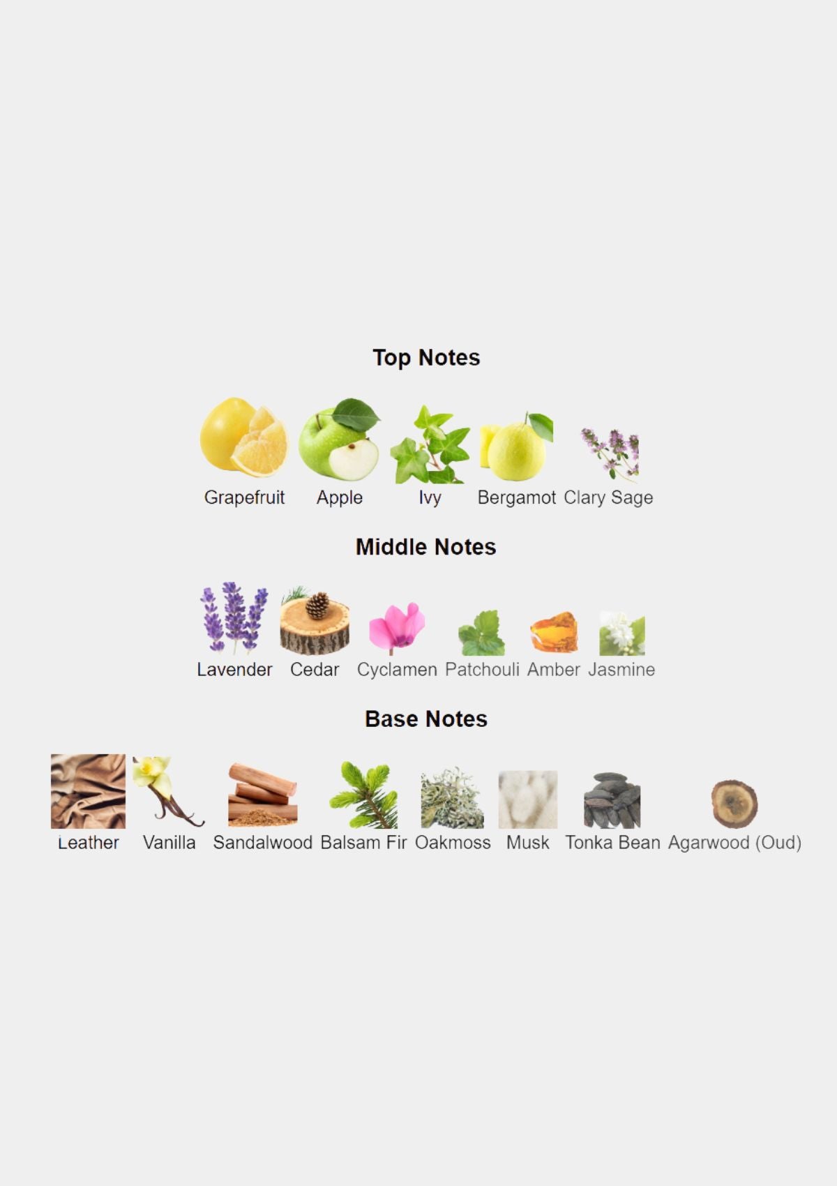 Vertus Paris Bois Et Cuir for Unisex EDP 100mL