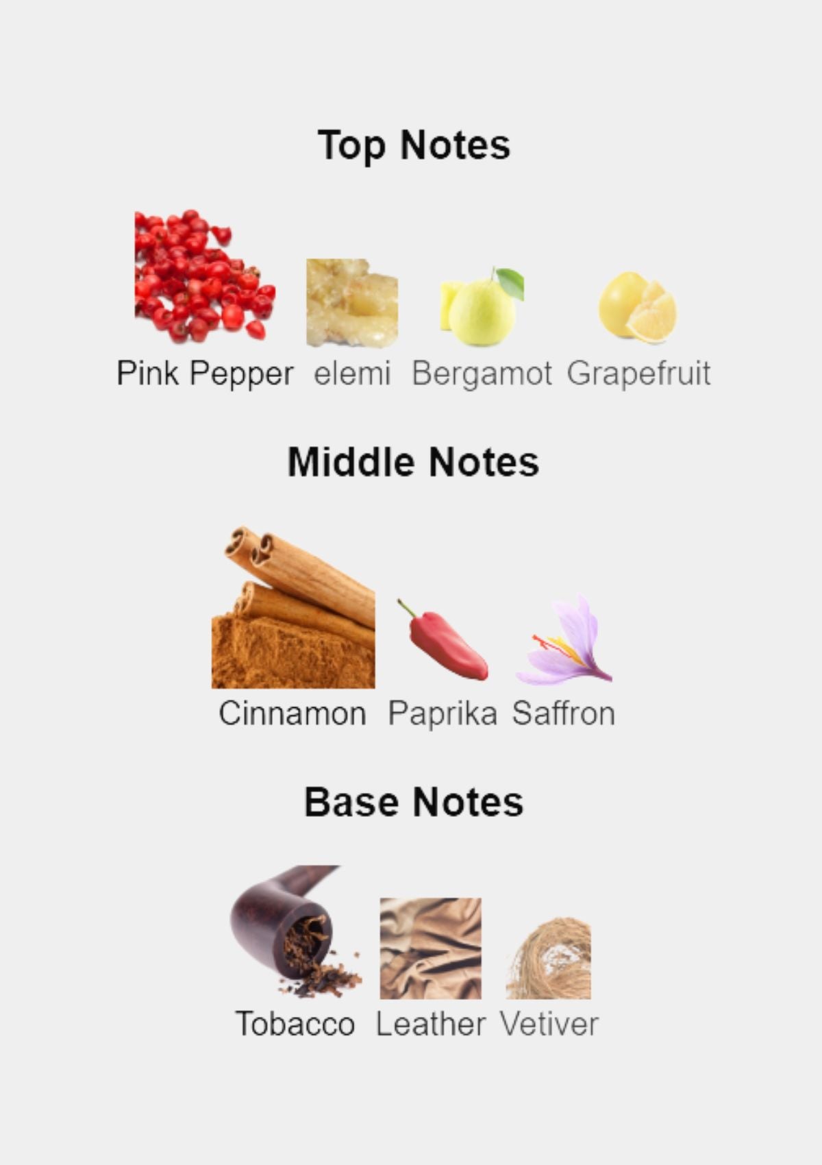 Viktor & Rolf Spicebomb for Men EDT 90mL