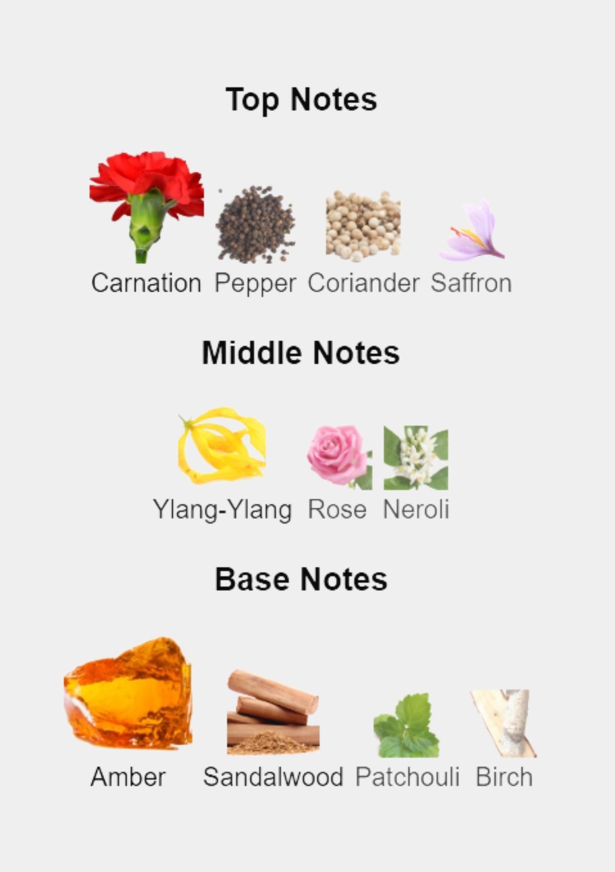 Xerjoff Casamorati 1888 for Unisex EDP 100mL