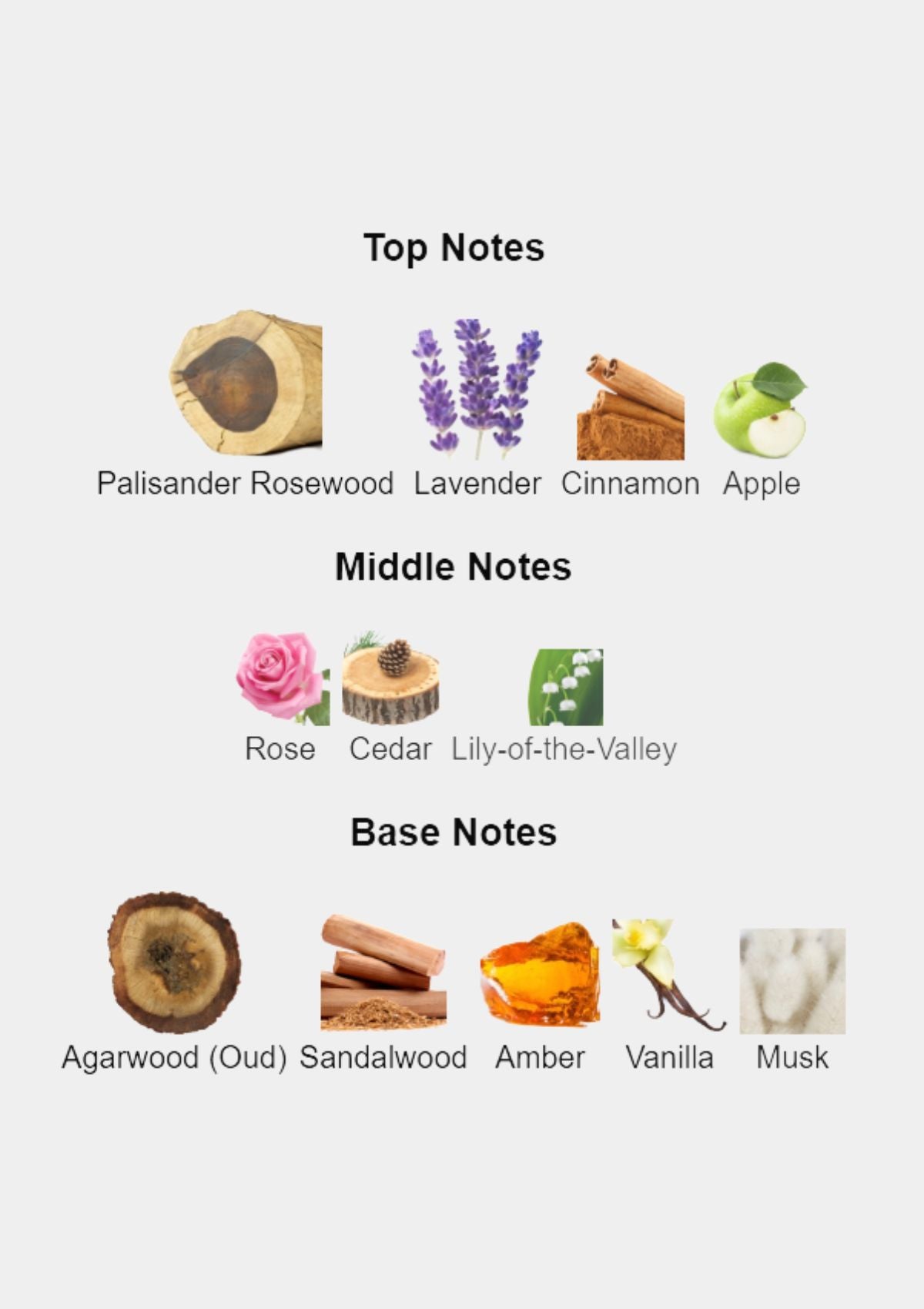 Xerjoff Oud Stars Alexandria II for Unisex EDP 50mL