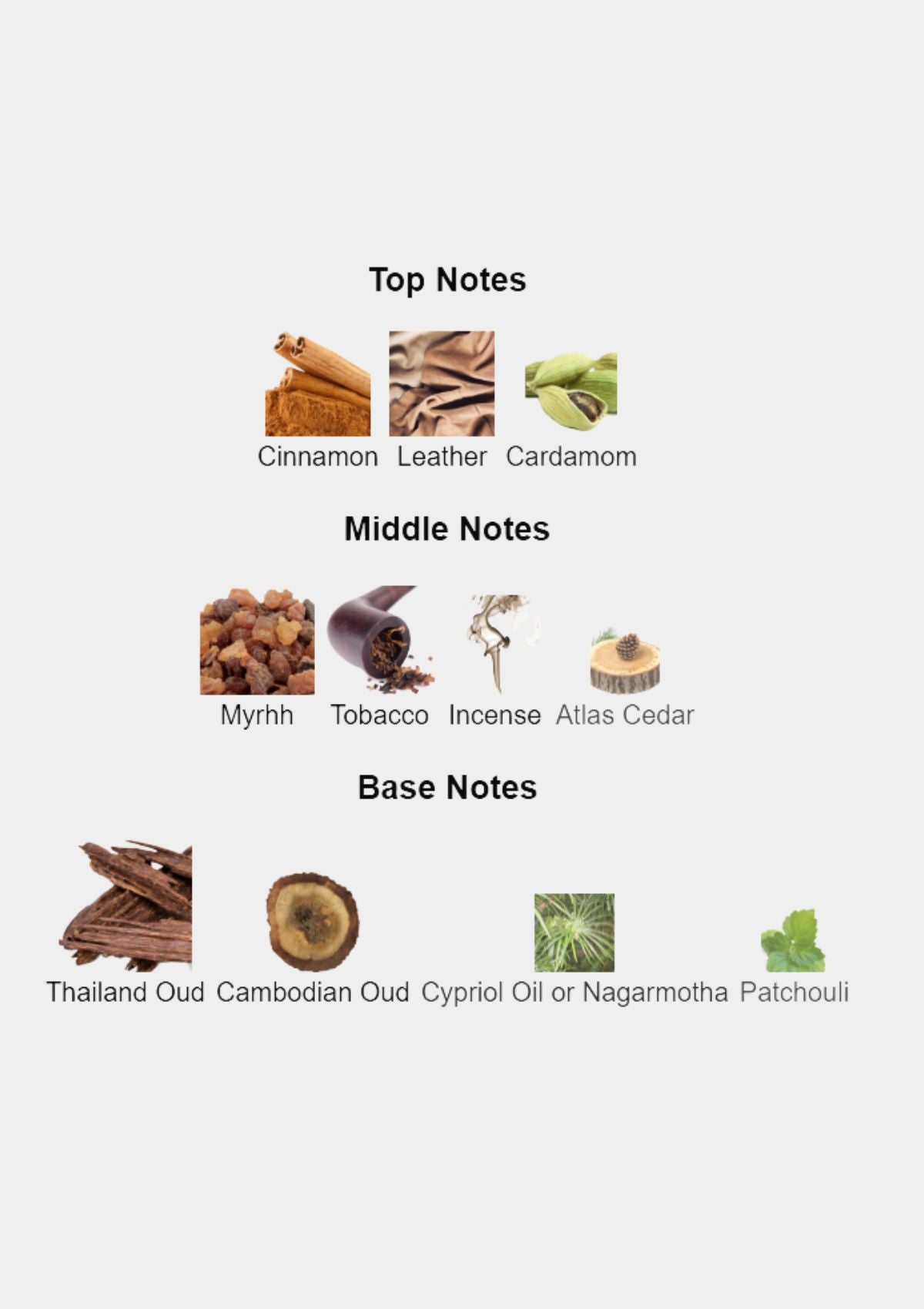 Xerjoff Oud Stars Luxor for Unisex EDP 50mL