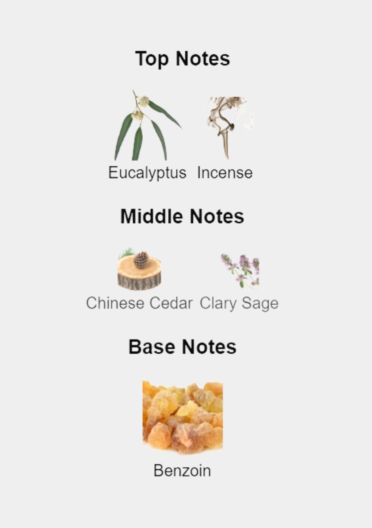 Yves Saint Laurent Body Kouros for Men EDT 100mL