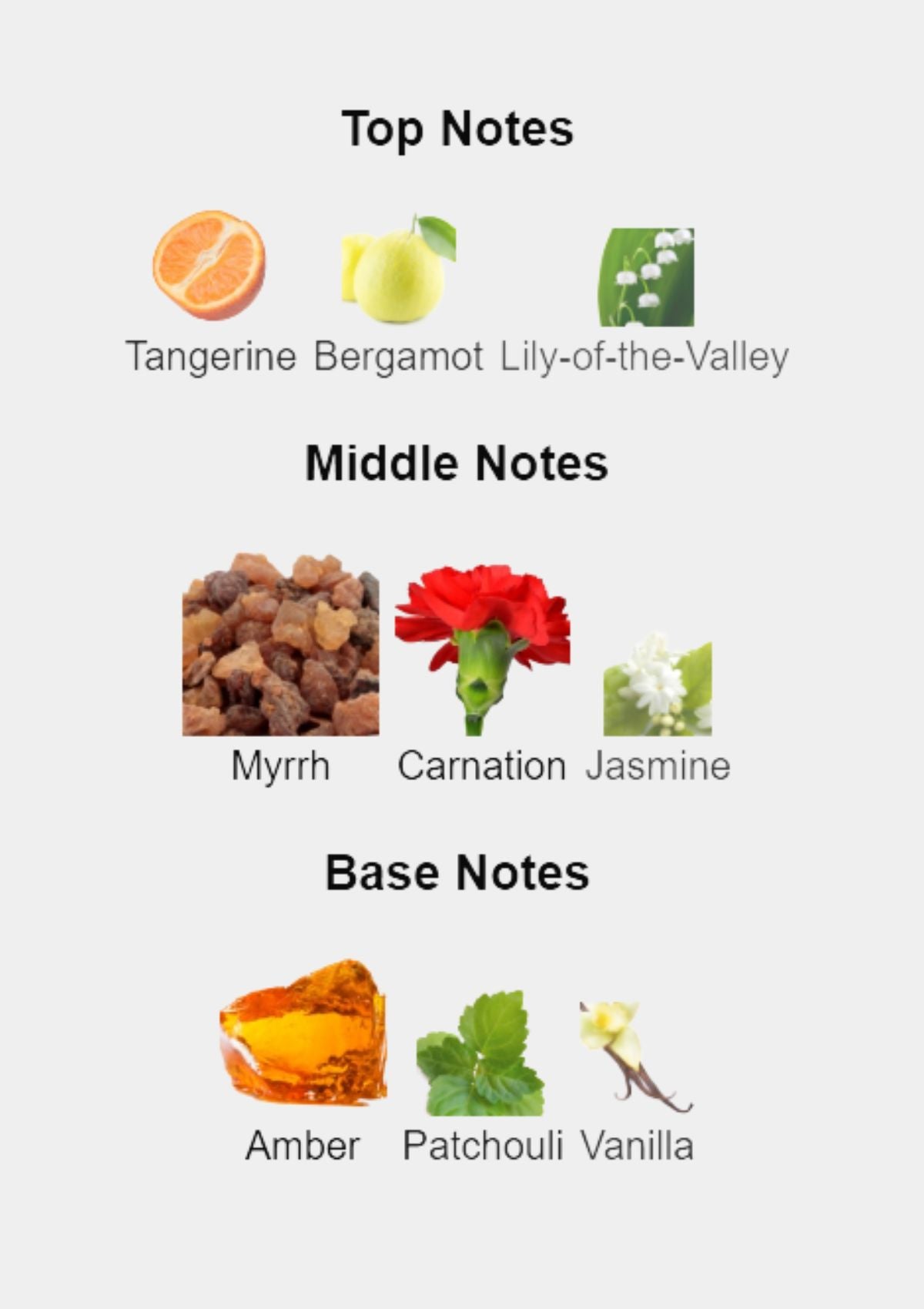 Yves Saint Laurent Opium for Women EDT 90mL